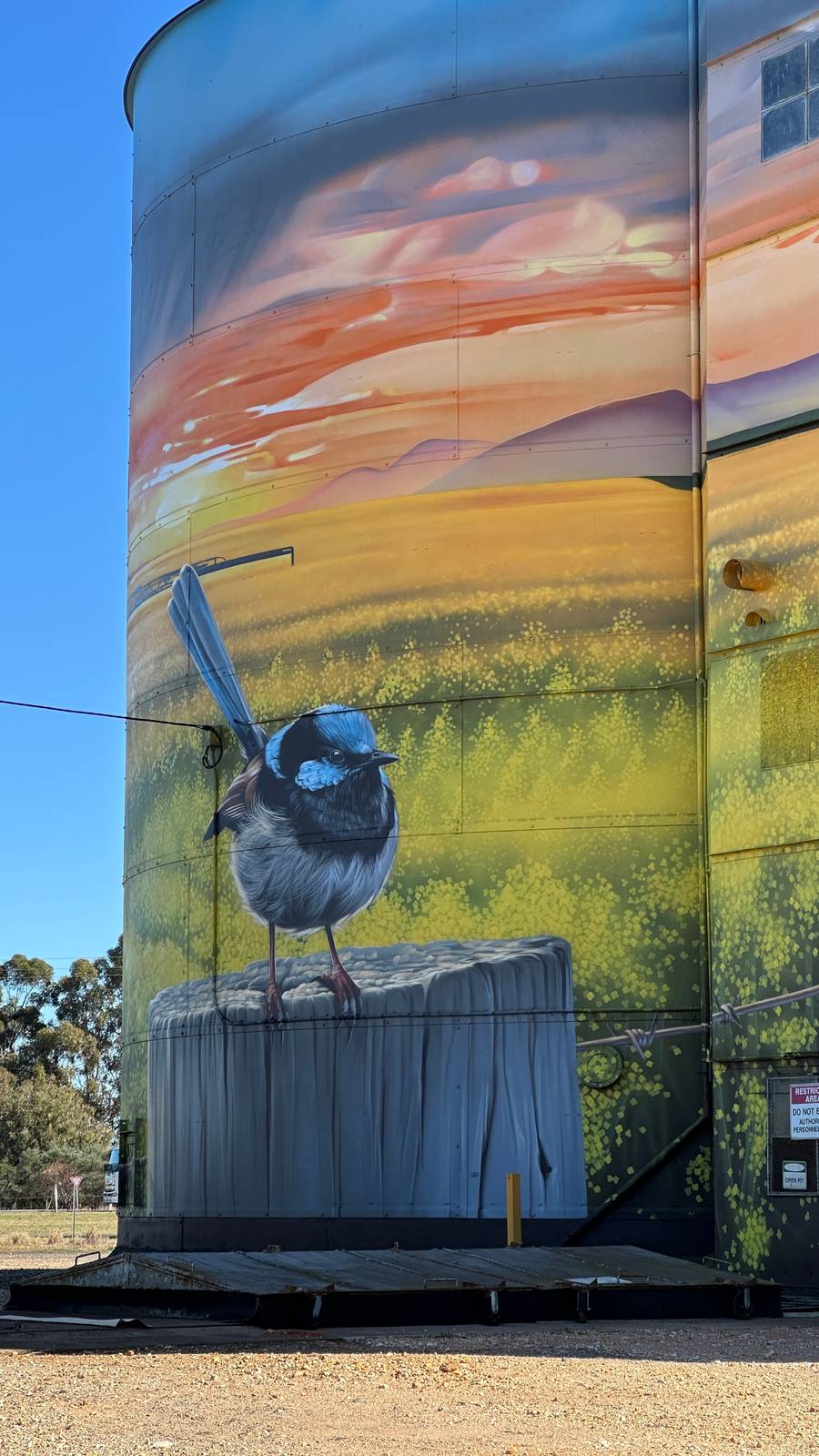 Smug&mdash;Rupanyup Silo Art