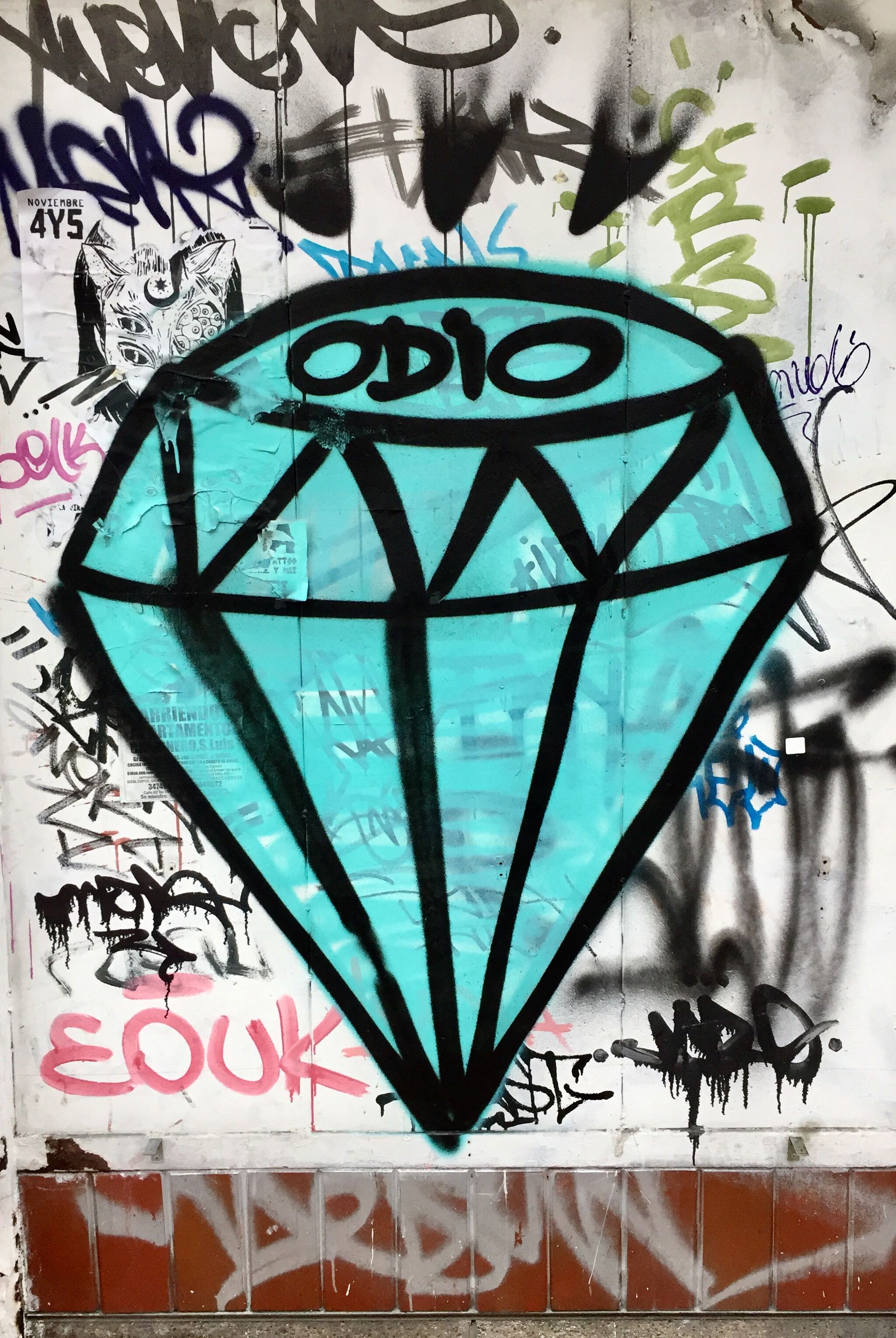 Unknown - Bogota&mdash;Hate - Odio