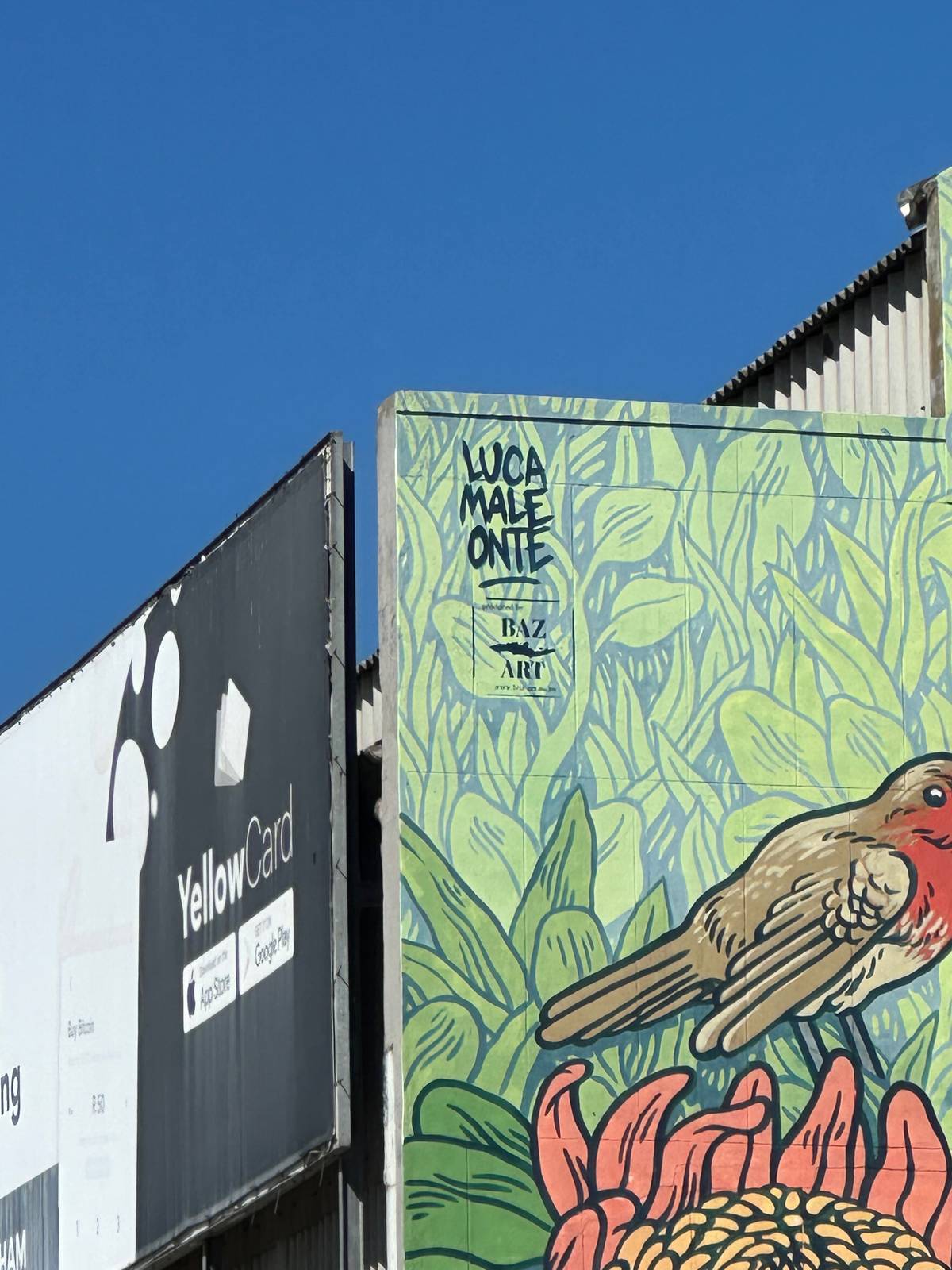 Lucamaleonte&mdash;LOCALS n.2