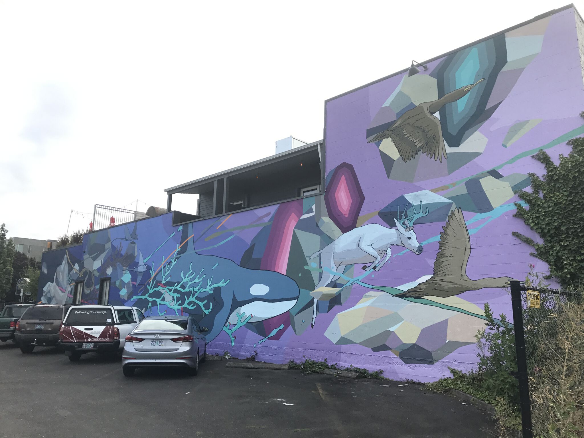 Seher One&mdash;Purple Blue