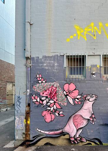 Possum & friends