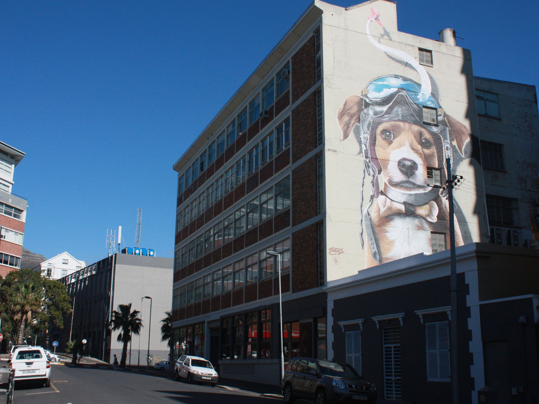 Smates&mdash;Aviator Dog