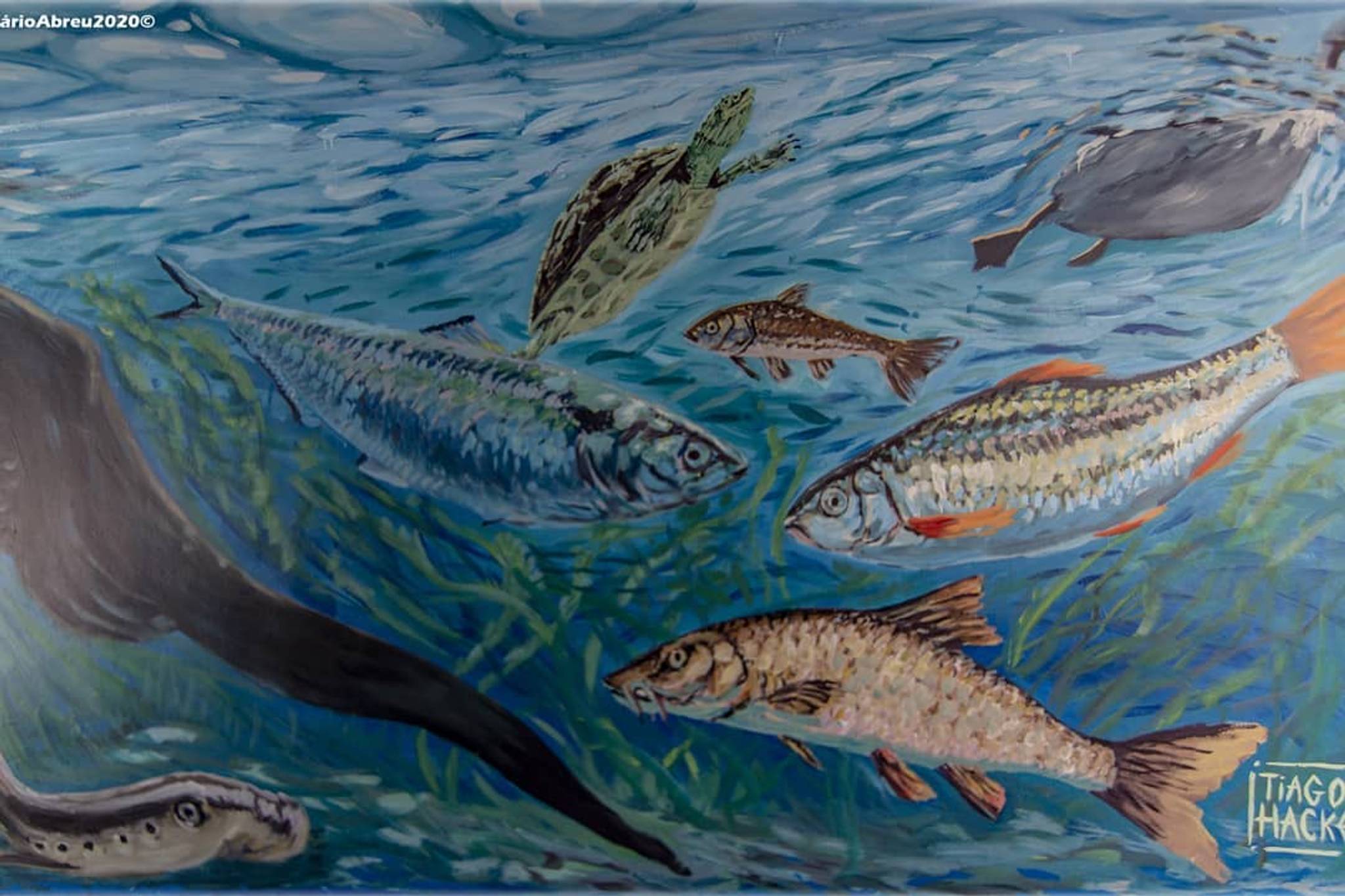Tiago Hacke&mdash;The Aquarium of Águeda
