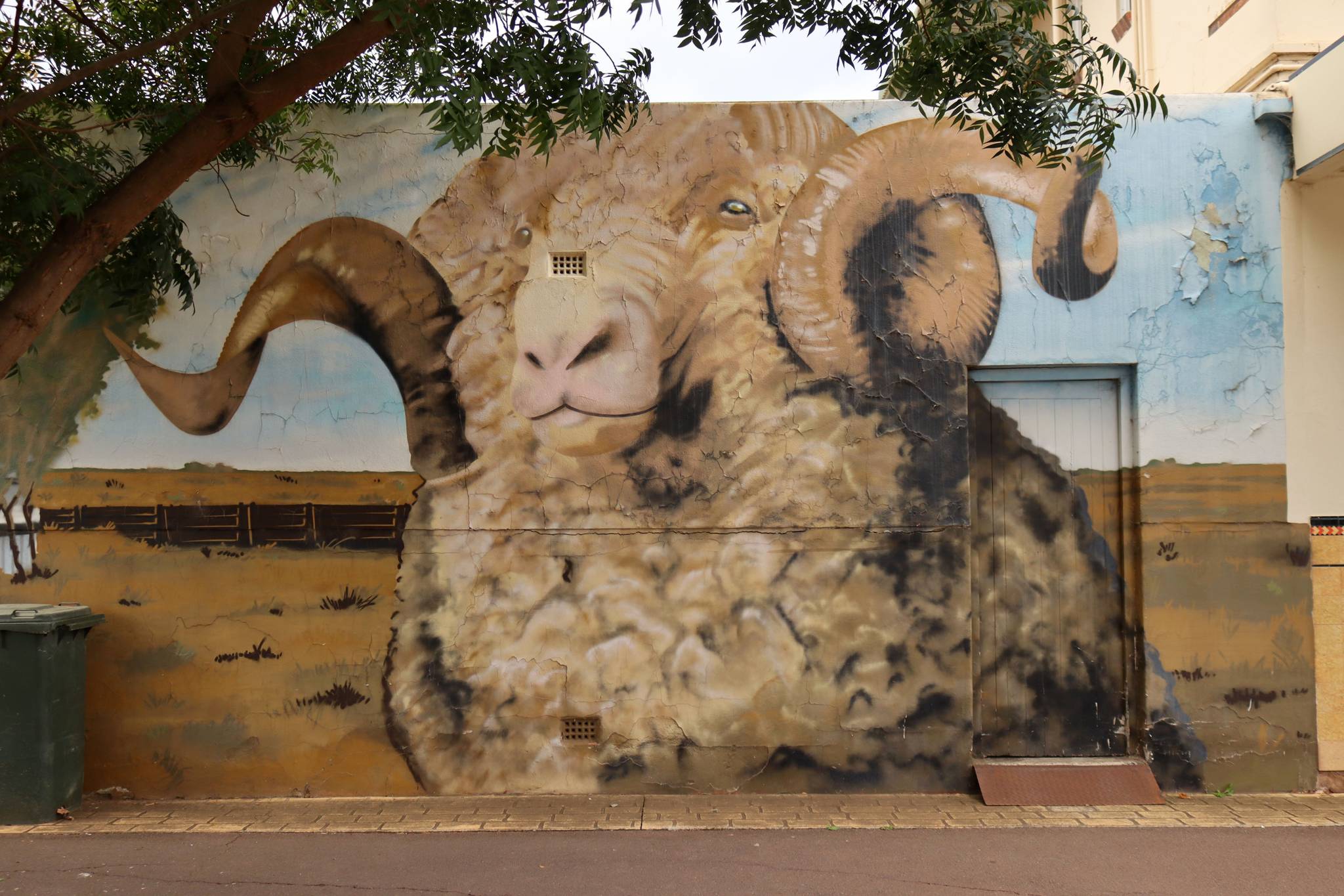 Damien_Mitchell&mdash;Ram