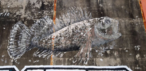 Poisson de War !