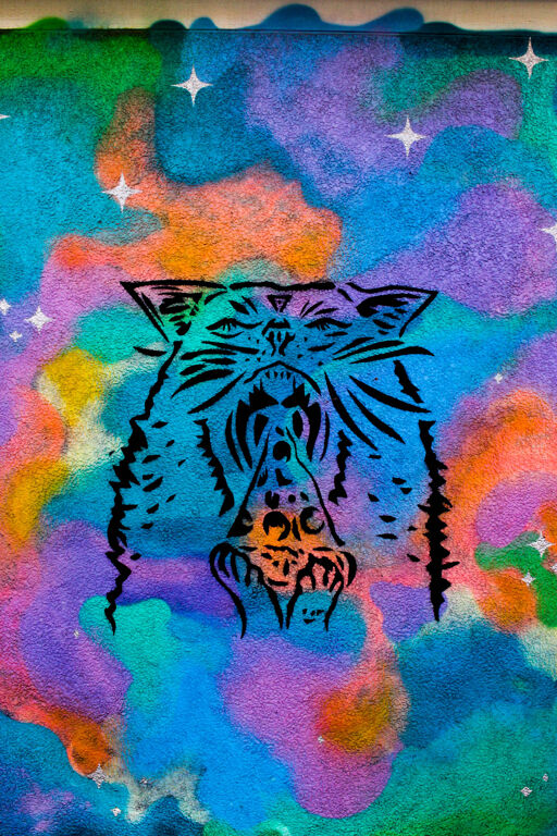 Acid Pizza Cat