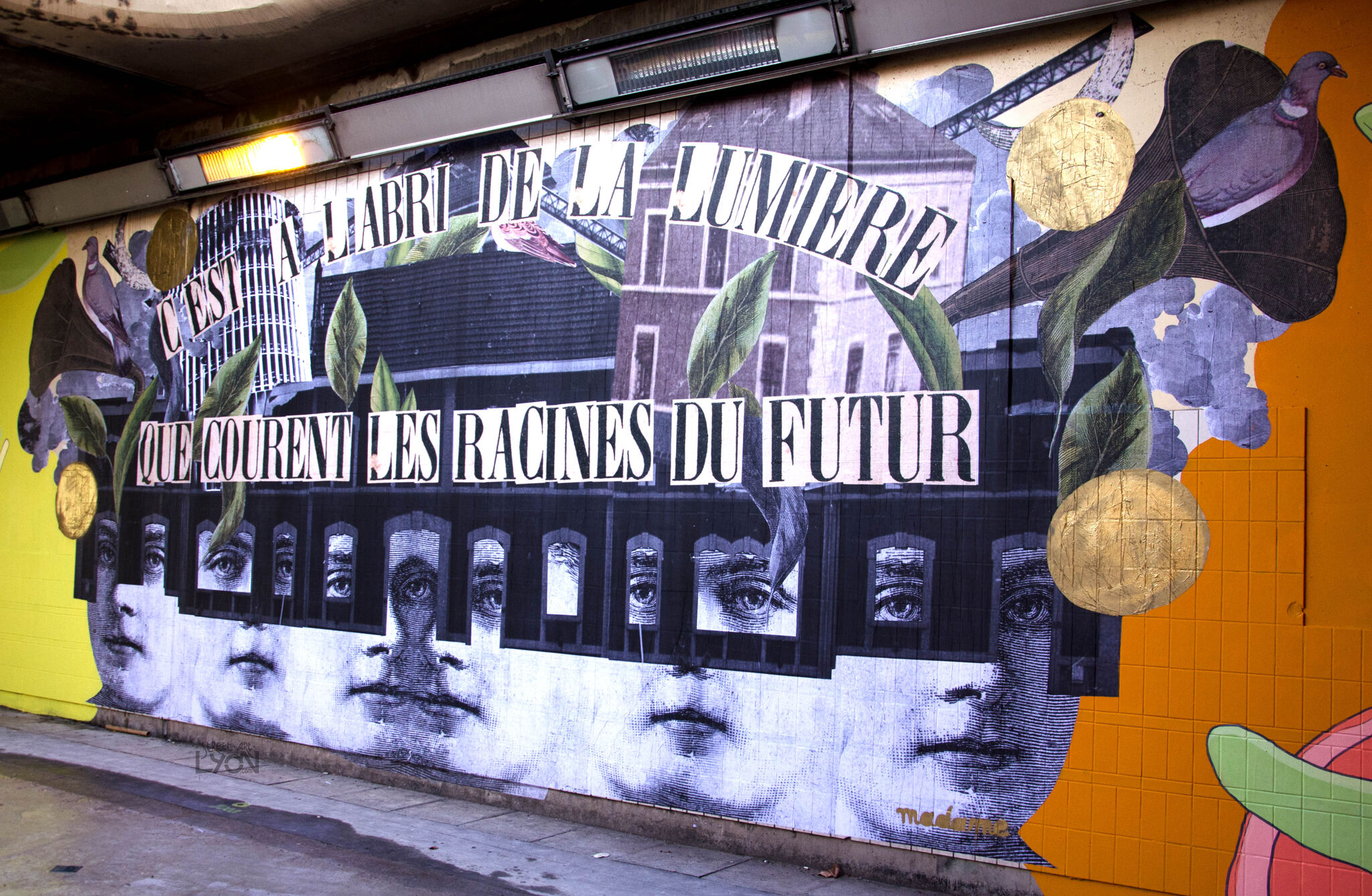 Madame Moustache&mdash;Madame moustache rue de bonnel, Lyon 3e