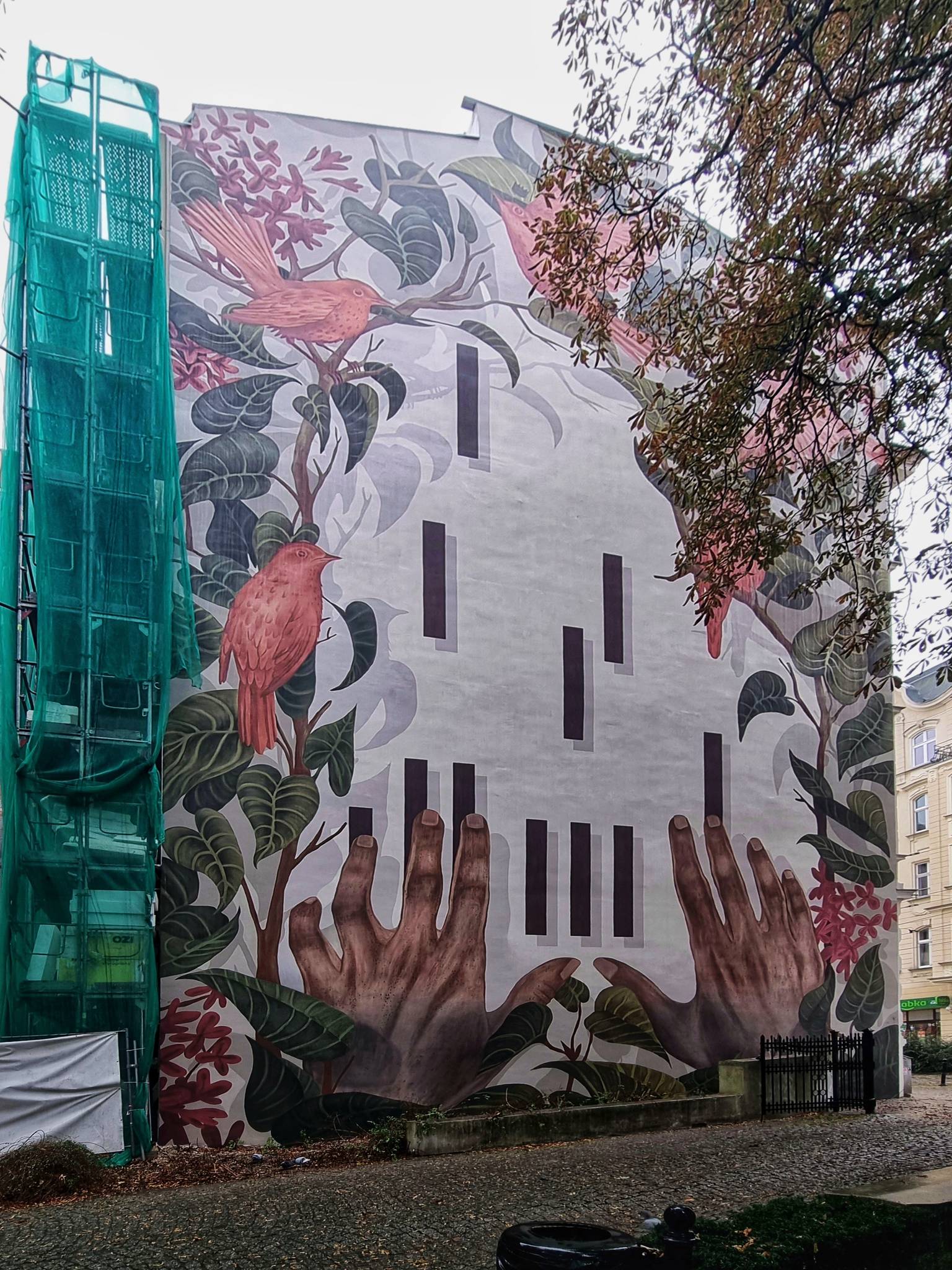 Dorota Piechocińska, MURALL Studio&mdash;Zielona 5