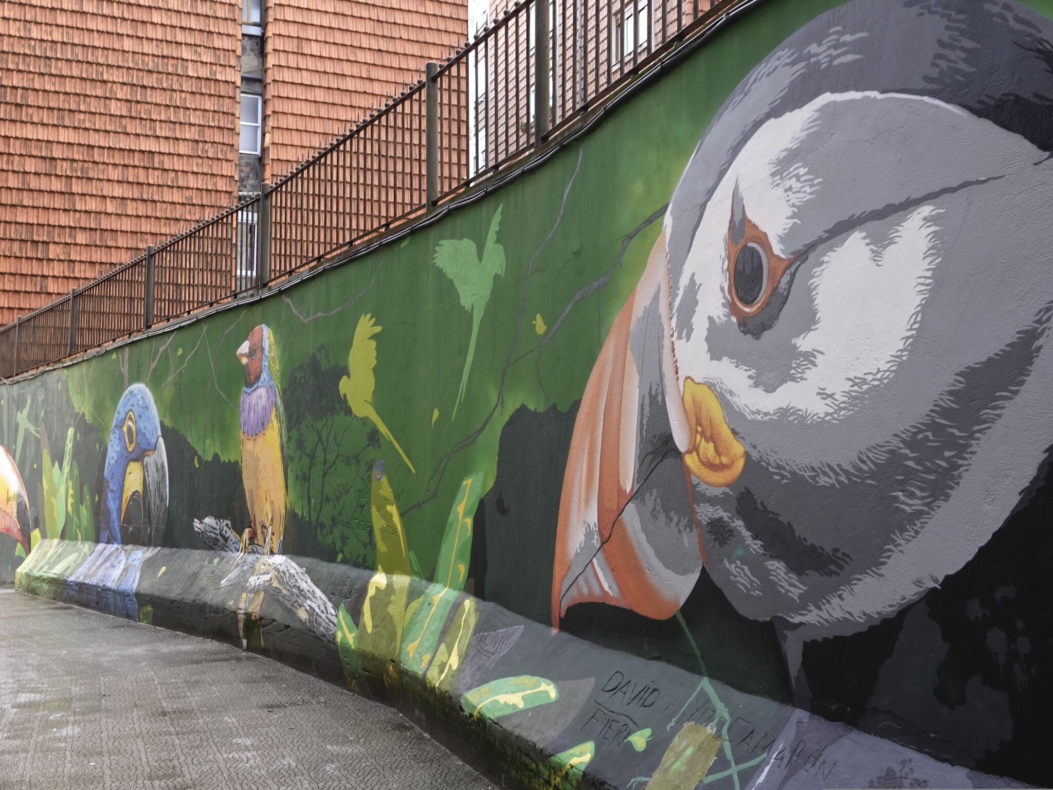DEN XL ( Eva Mena), Jank&mdash;Papagayos and Parrots