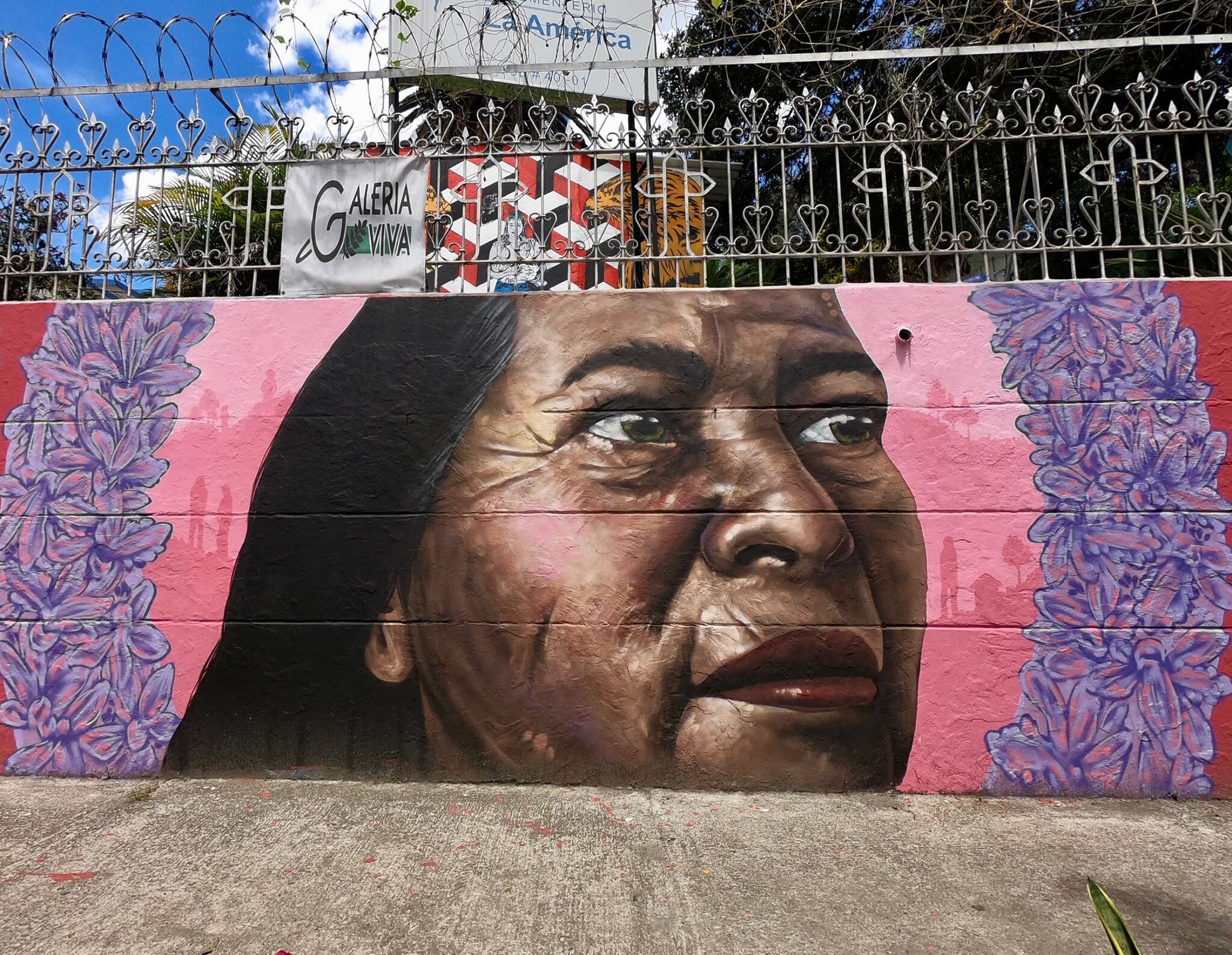 Jomag, Juega Siempre&mdash;Untitled