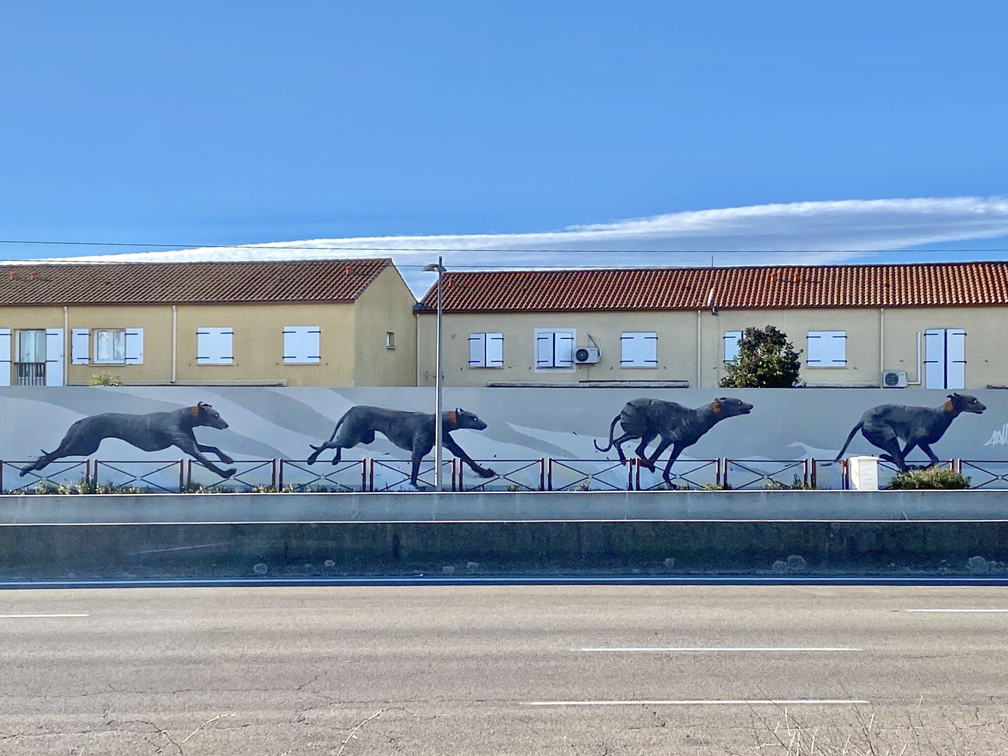 Arkane&mdash;The GreyHound Race