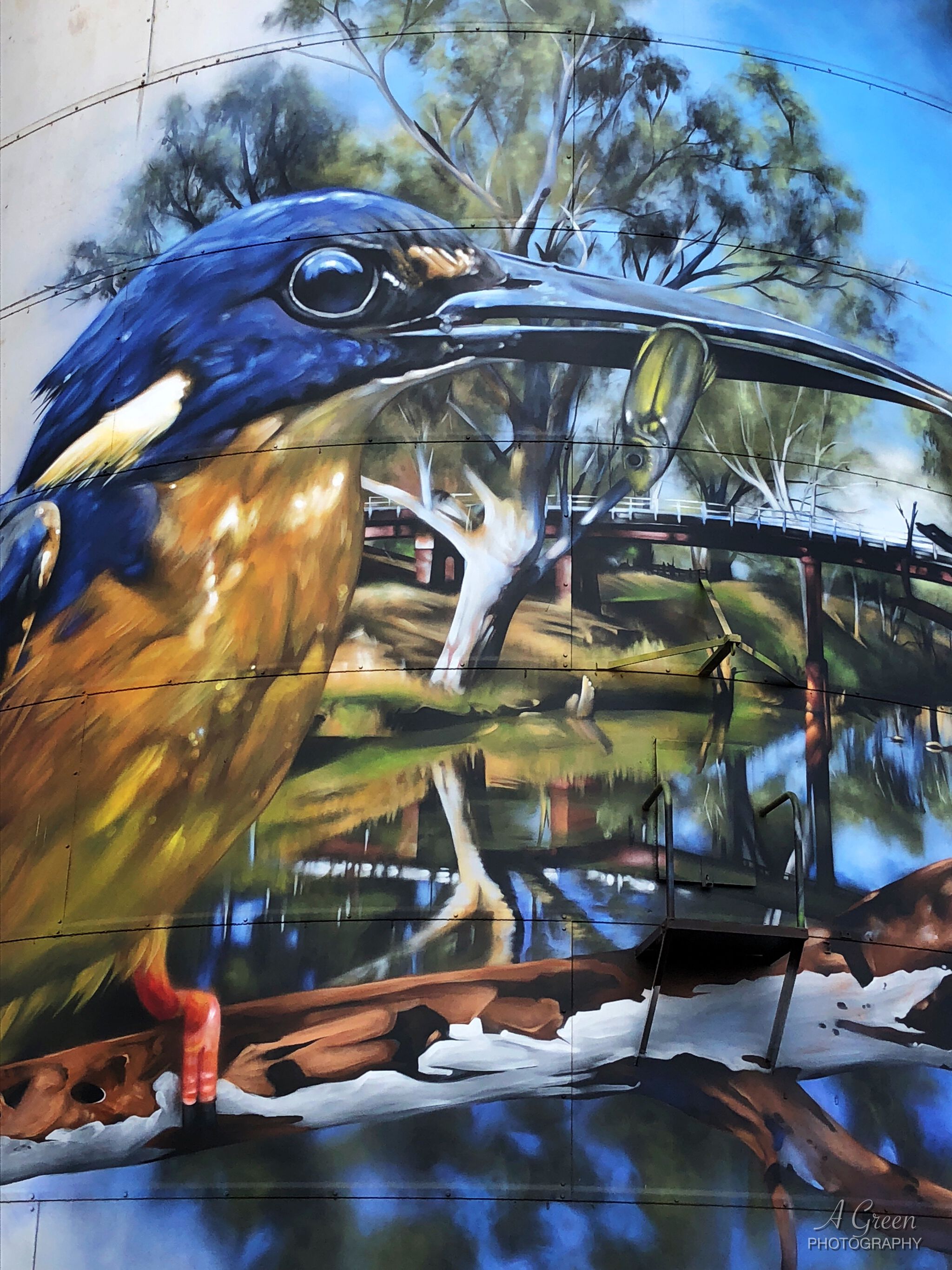 Dvate&mdash;Rochester Silo Art
