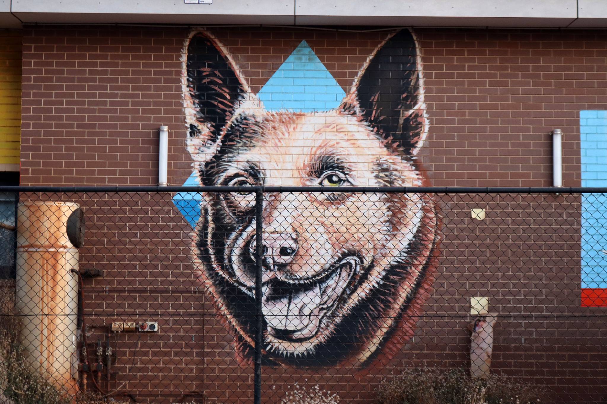 Brenton See&mdash;Dampier Community Hall
