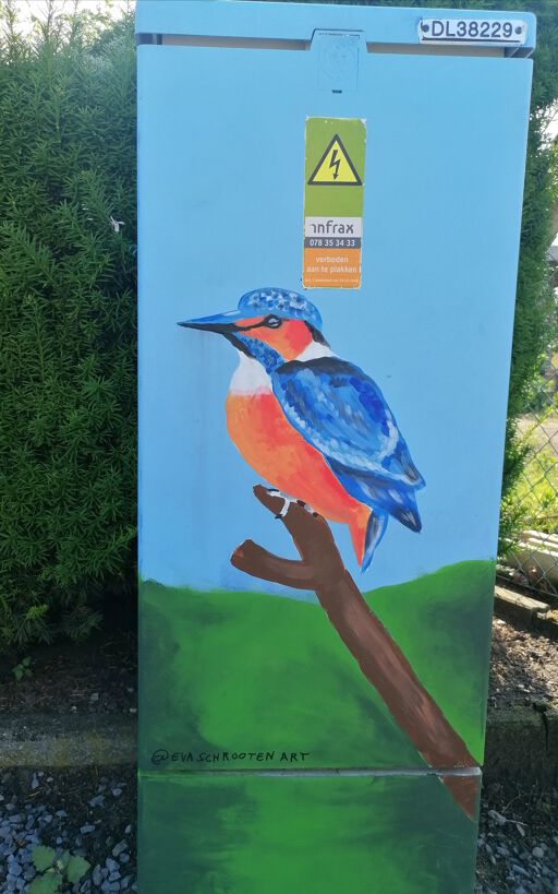Tour Elentrik - IJsvogel