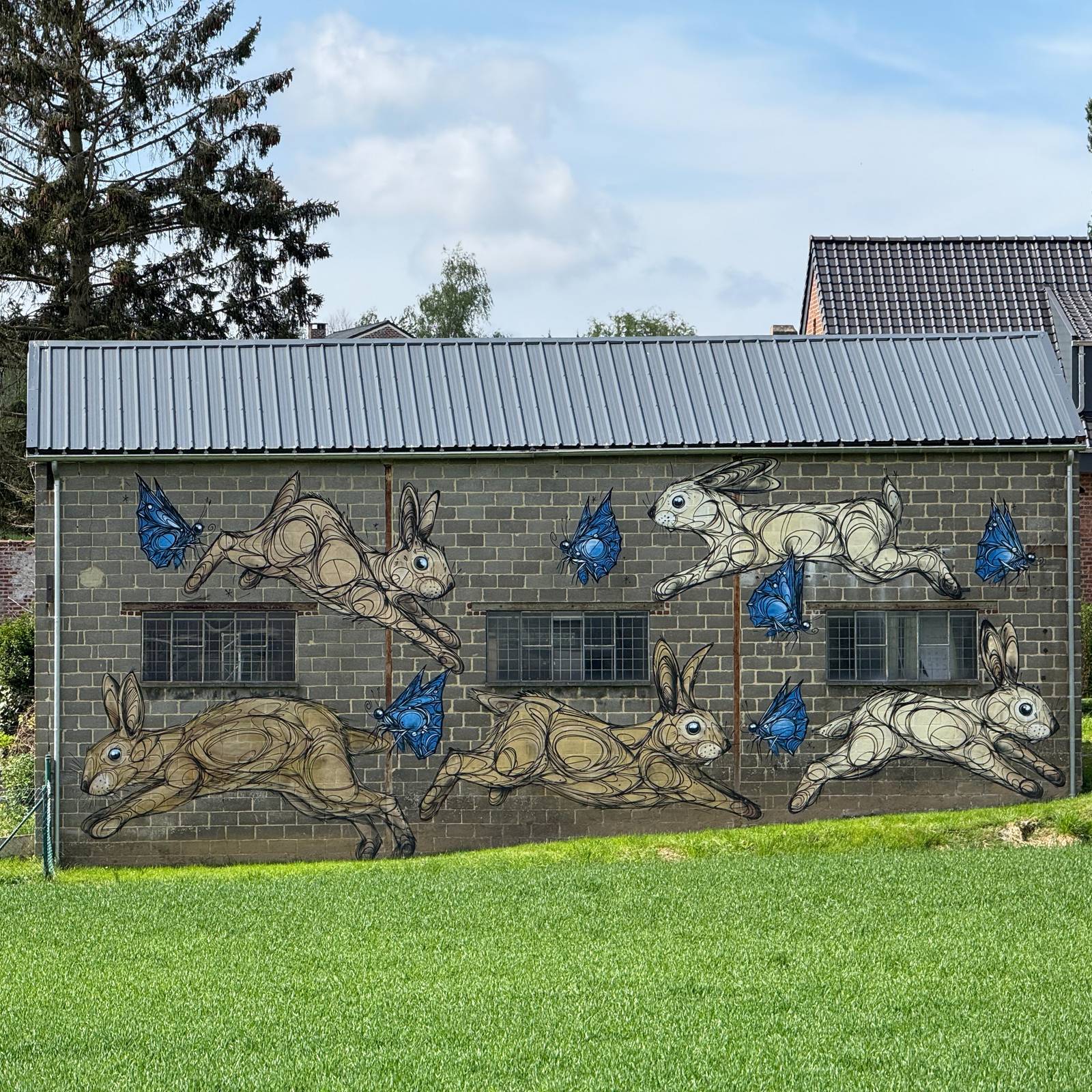 Dzia&mdash;Rabbit wall