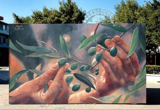 Picking olives