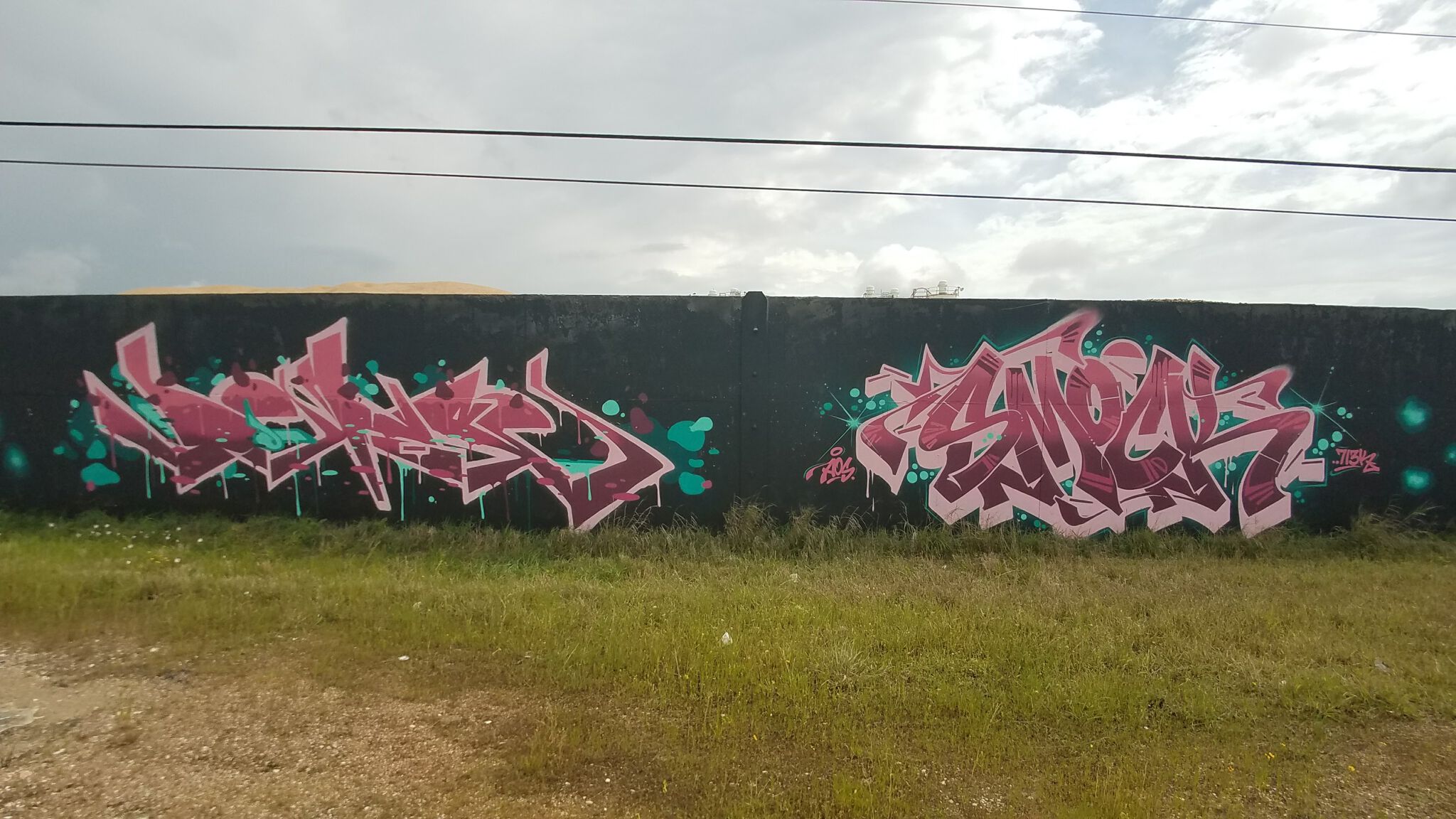 Various Artists&mdash;Westpark Tollway
