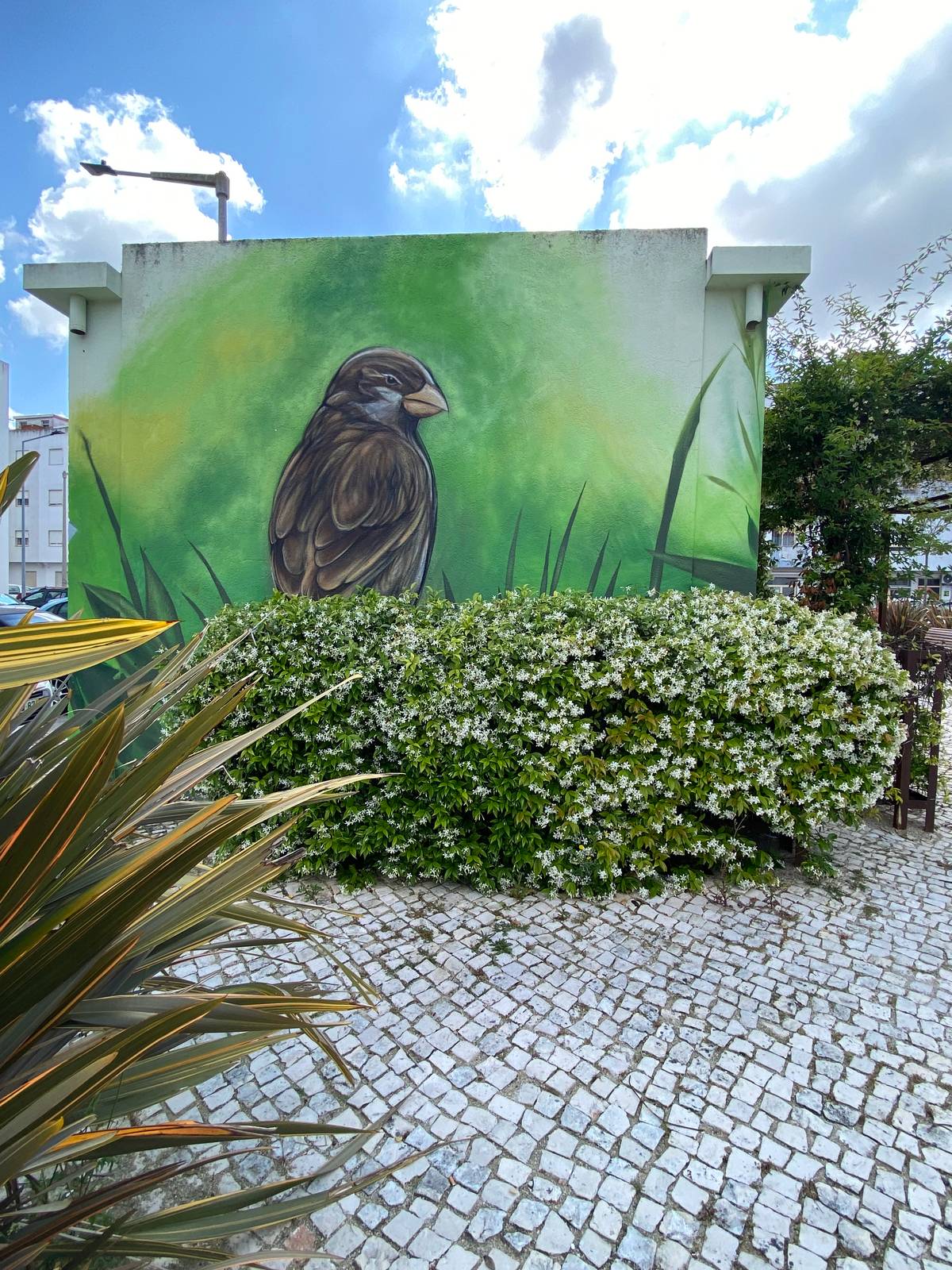 Ricardo Tota&mdash;undefined