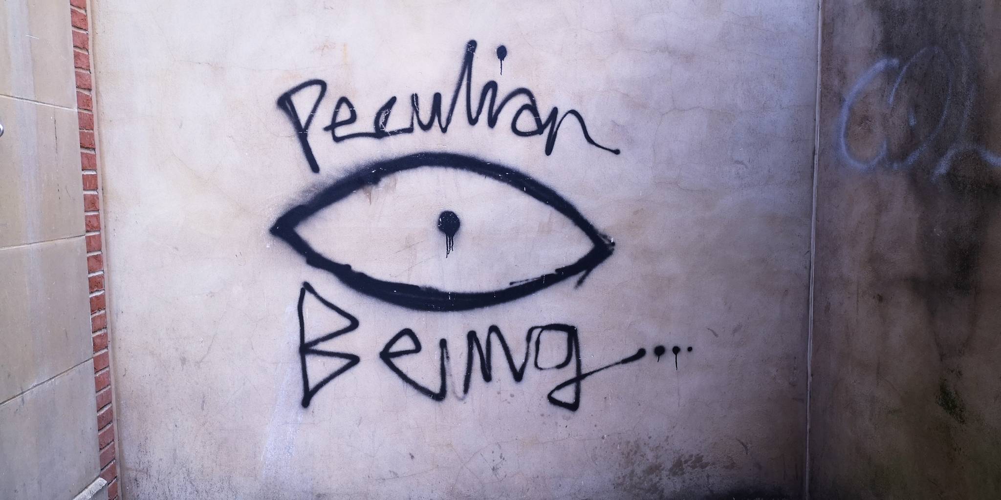 Unknown - Reading&mdash;Peculiar Being