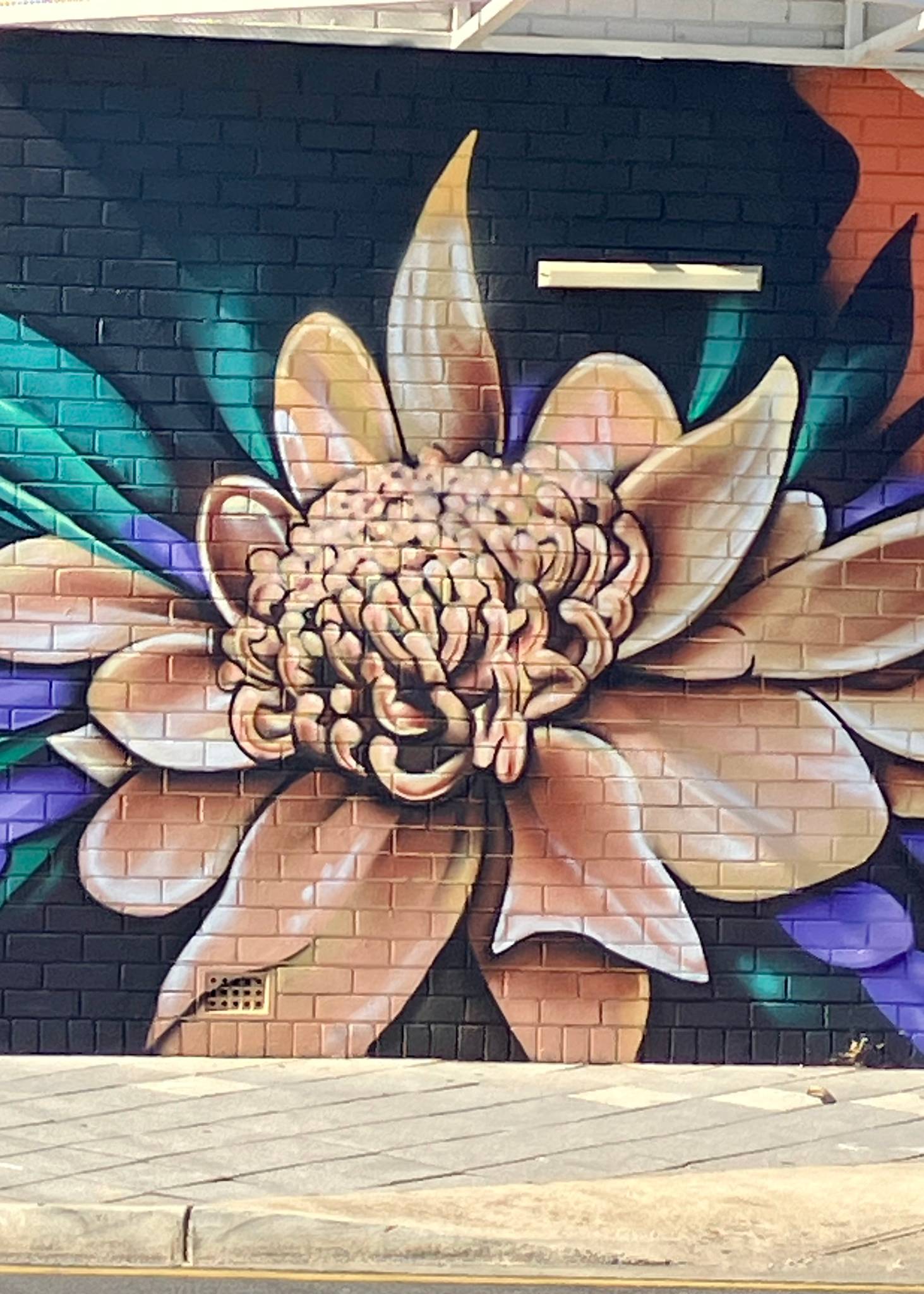 TR Visual Arts, Shane Kooka&mdash;undefined