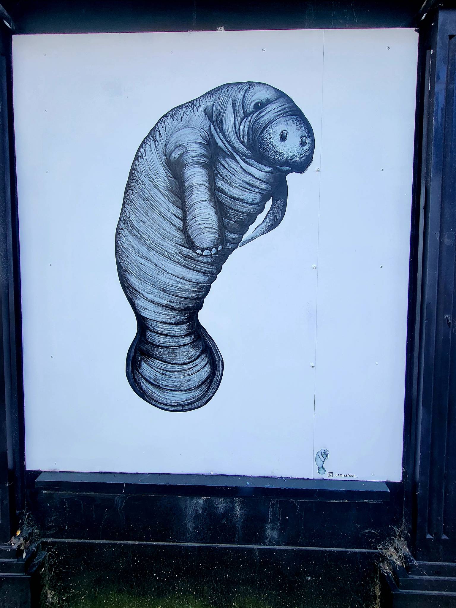 rooabrook, Koe1, Ketones6000, thisismidge, NZIE, Gary Stranger, pogo, RoosArt&mdash;Osborne Road Street Art Gallery