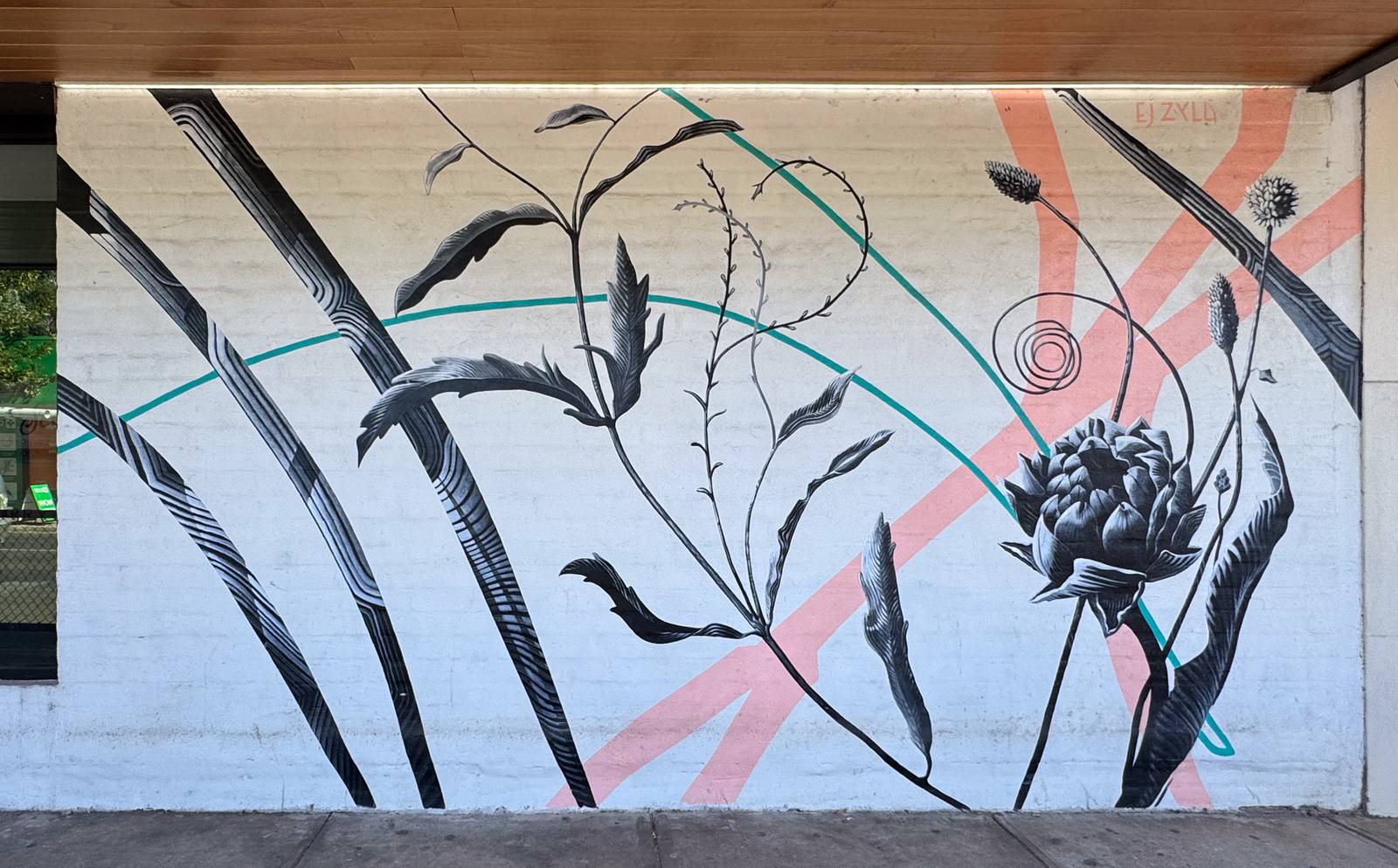 EJ Zyla&mdash;Seed