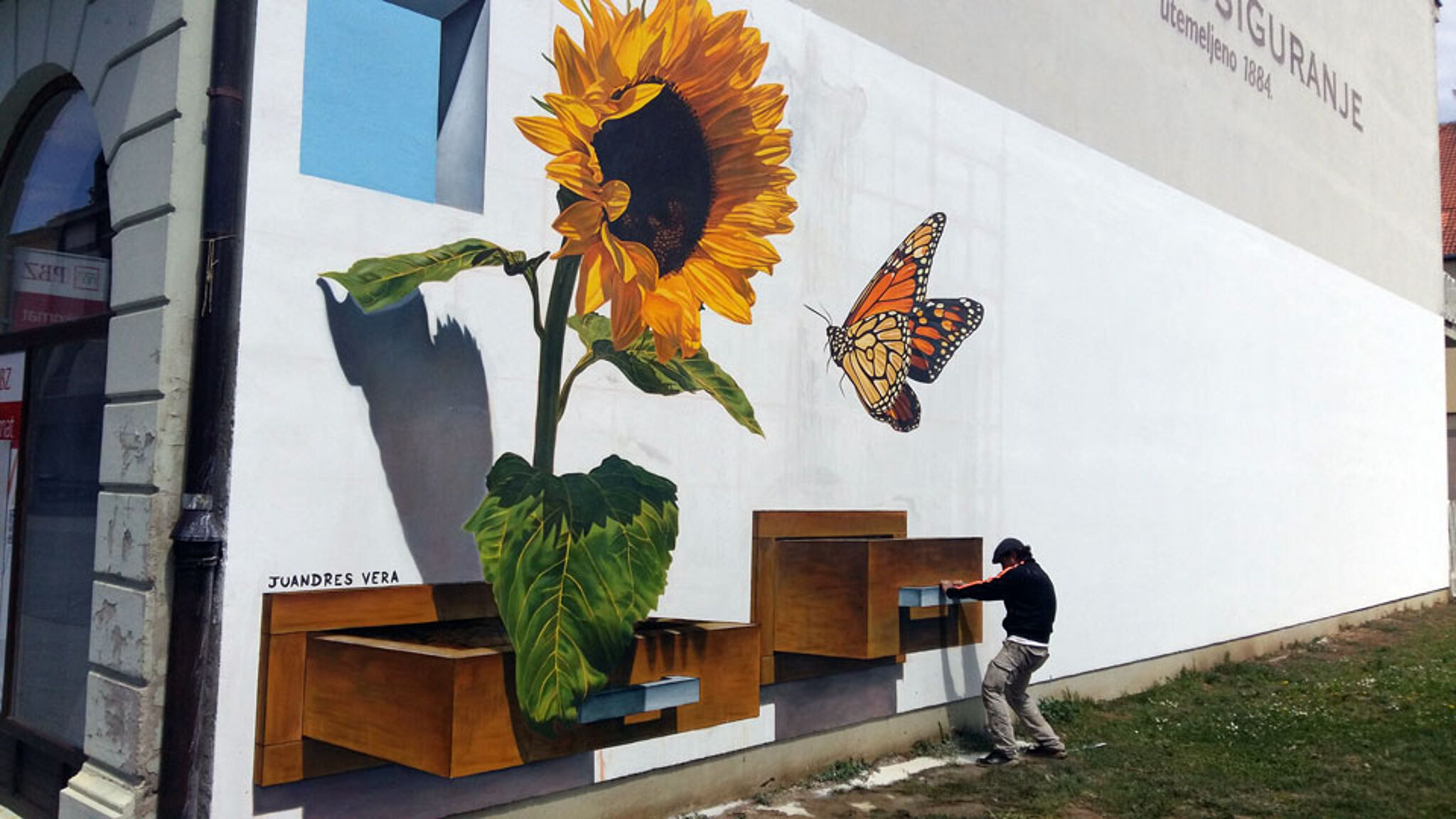 Juandres Vera&mdash;Bloomoprhosis