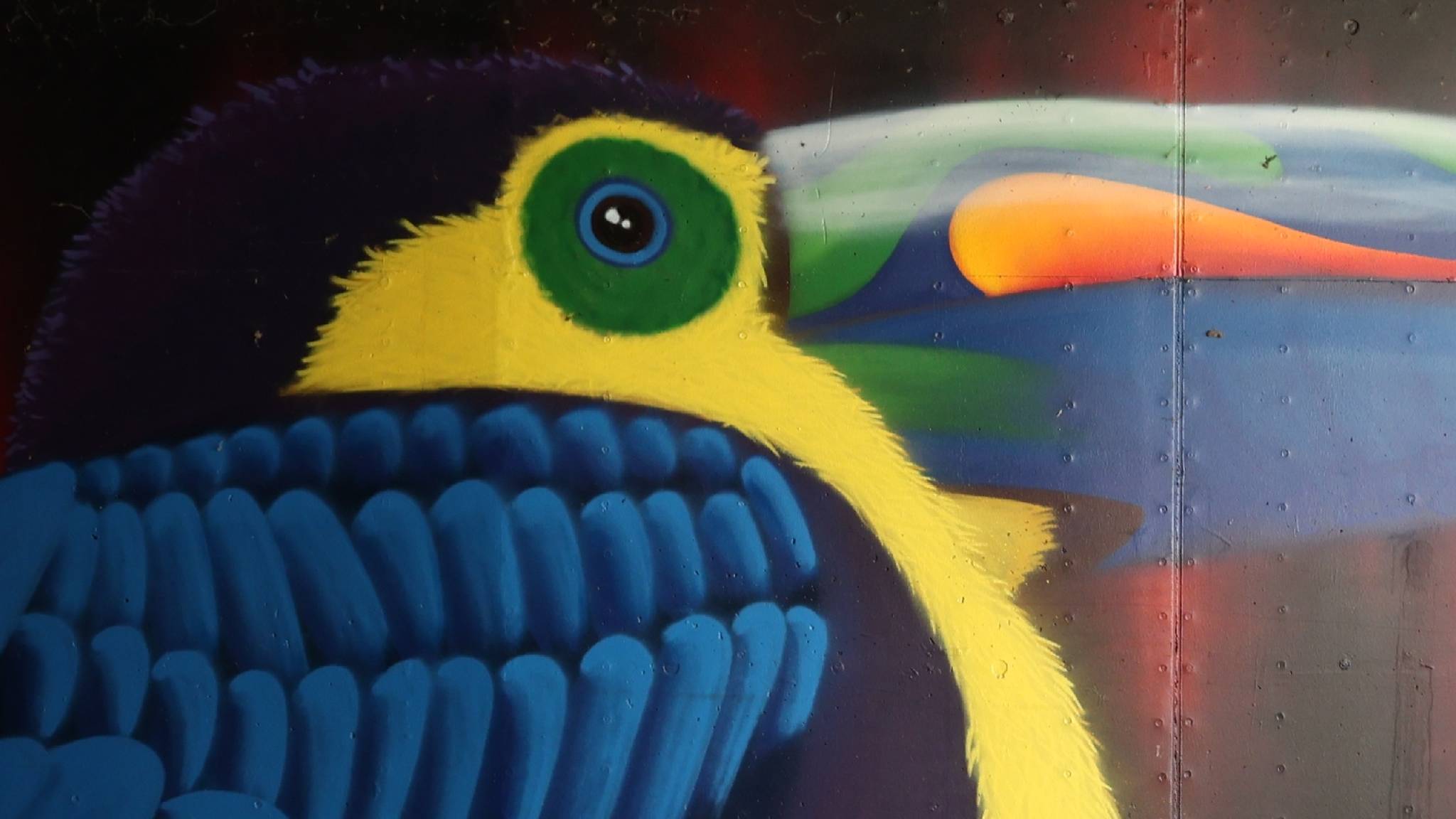 Unknown - Mol&mdash;Tucan