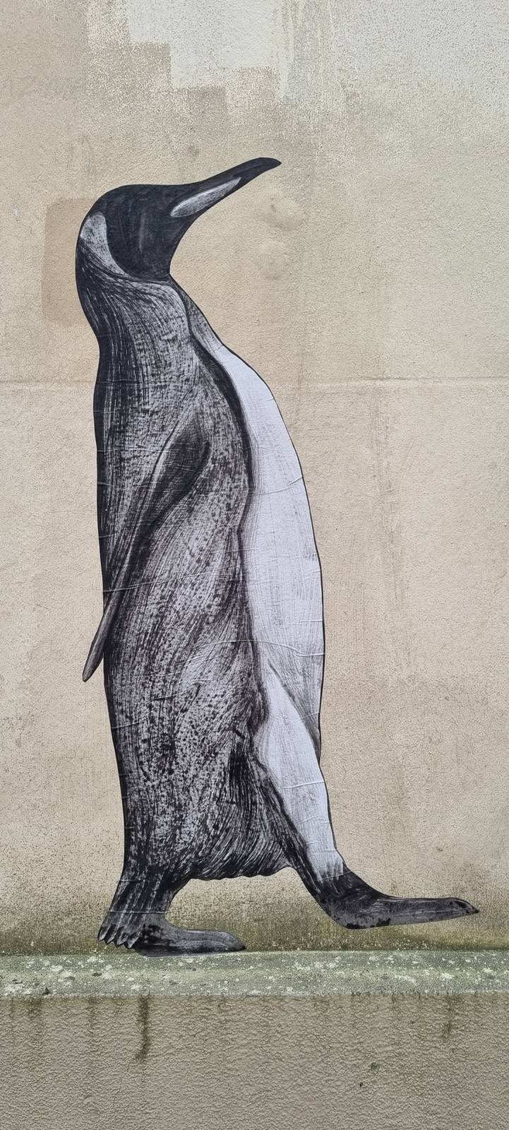Levalet&mdash;Manchots