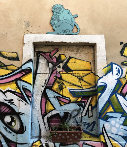 Okus Tank & Popek