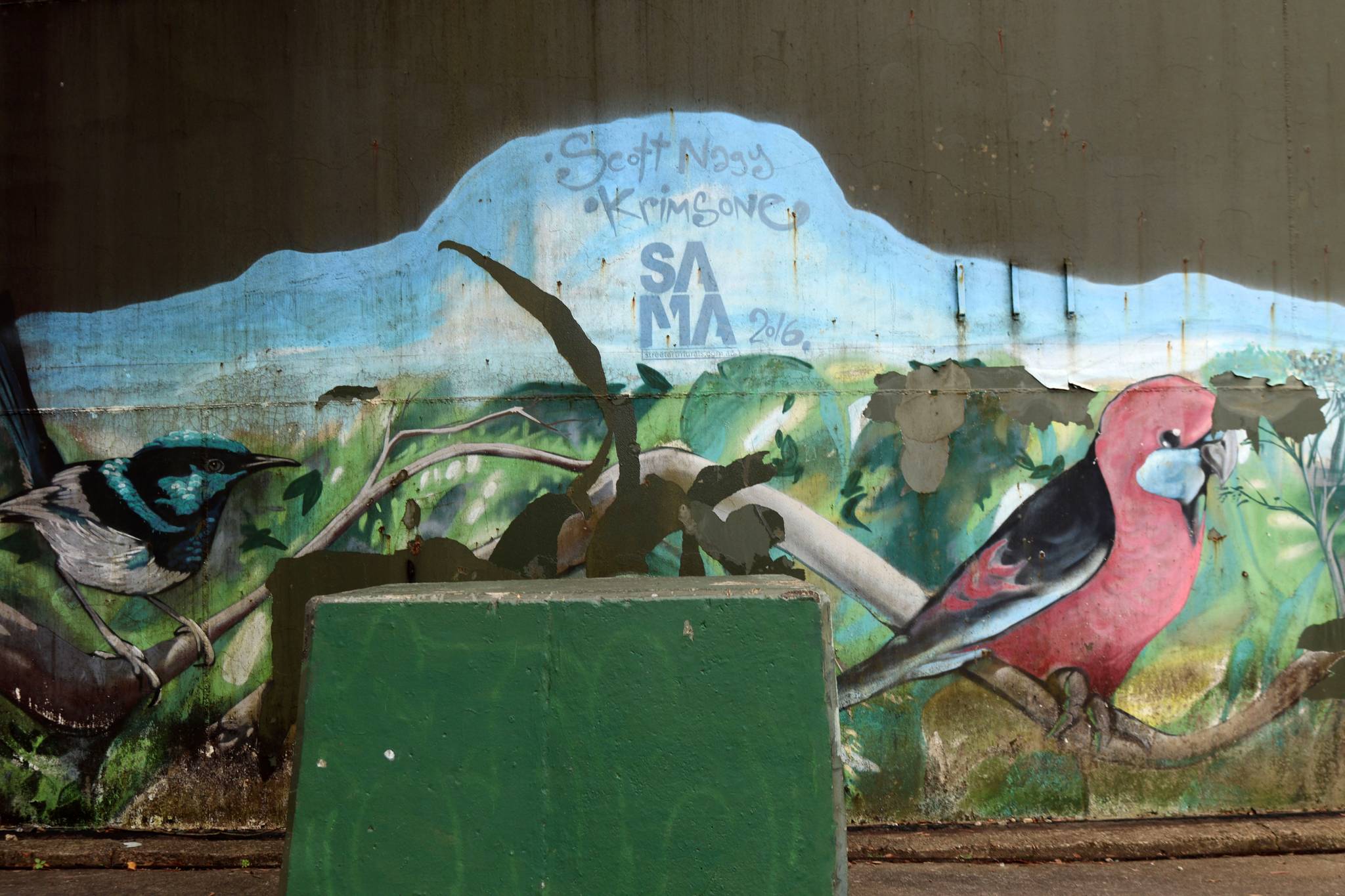 Scott Nagy, Krimsone&mdash;Mount Riverview Water Tank Art