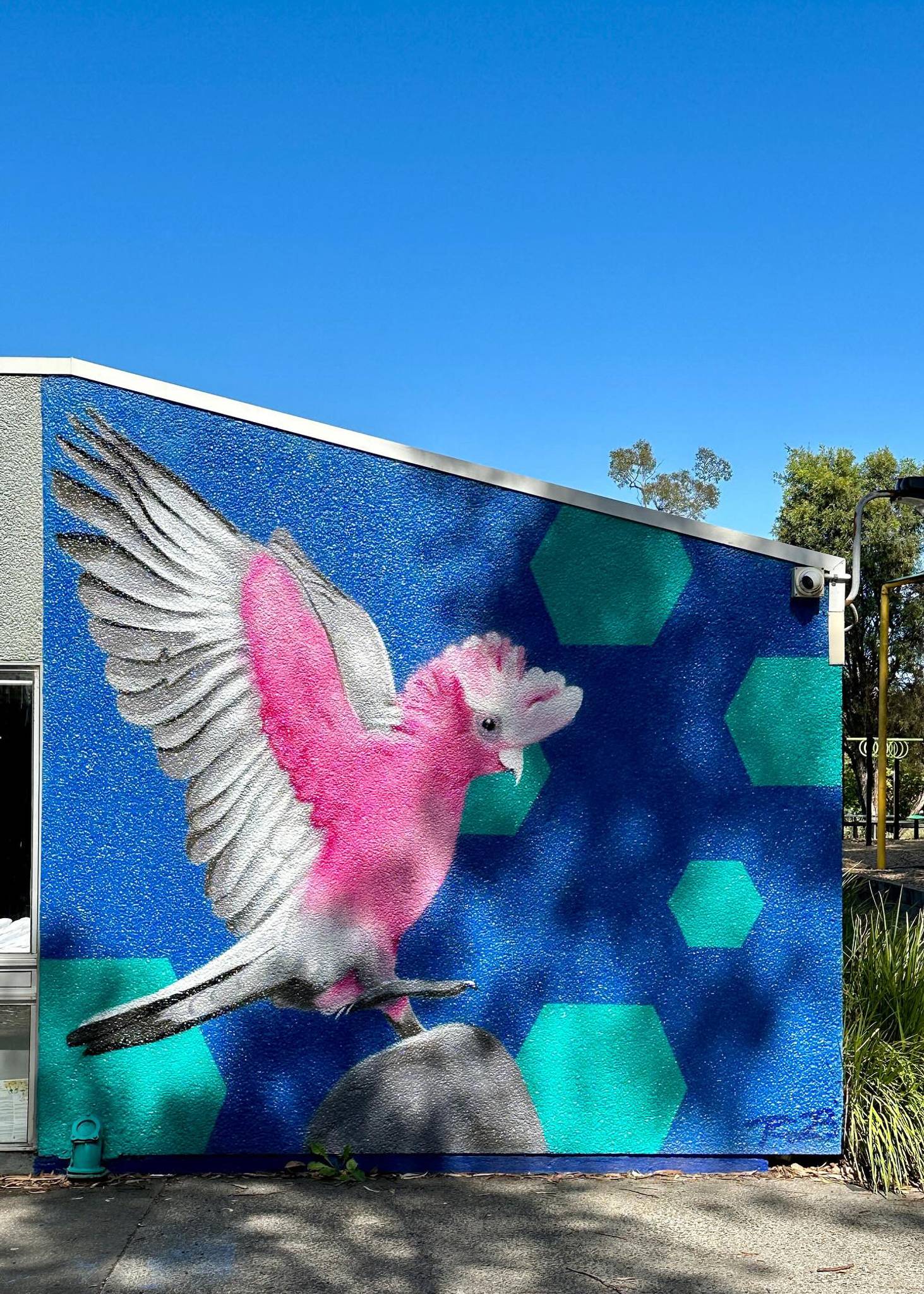 Tara Cull&mdash;Marlborough Primary School Mural