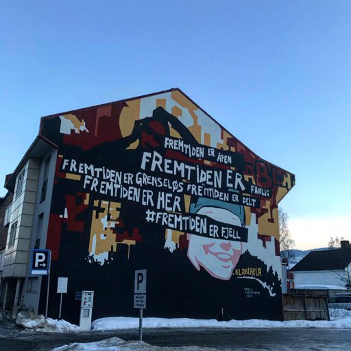 Fremtiden er Fjell