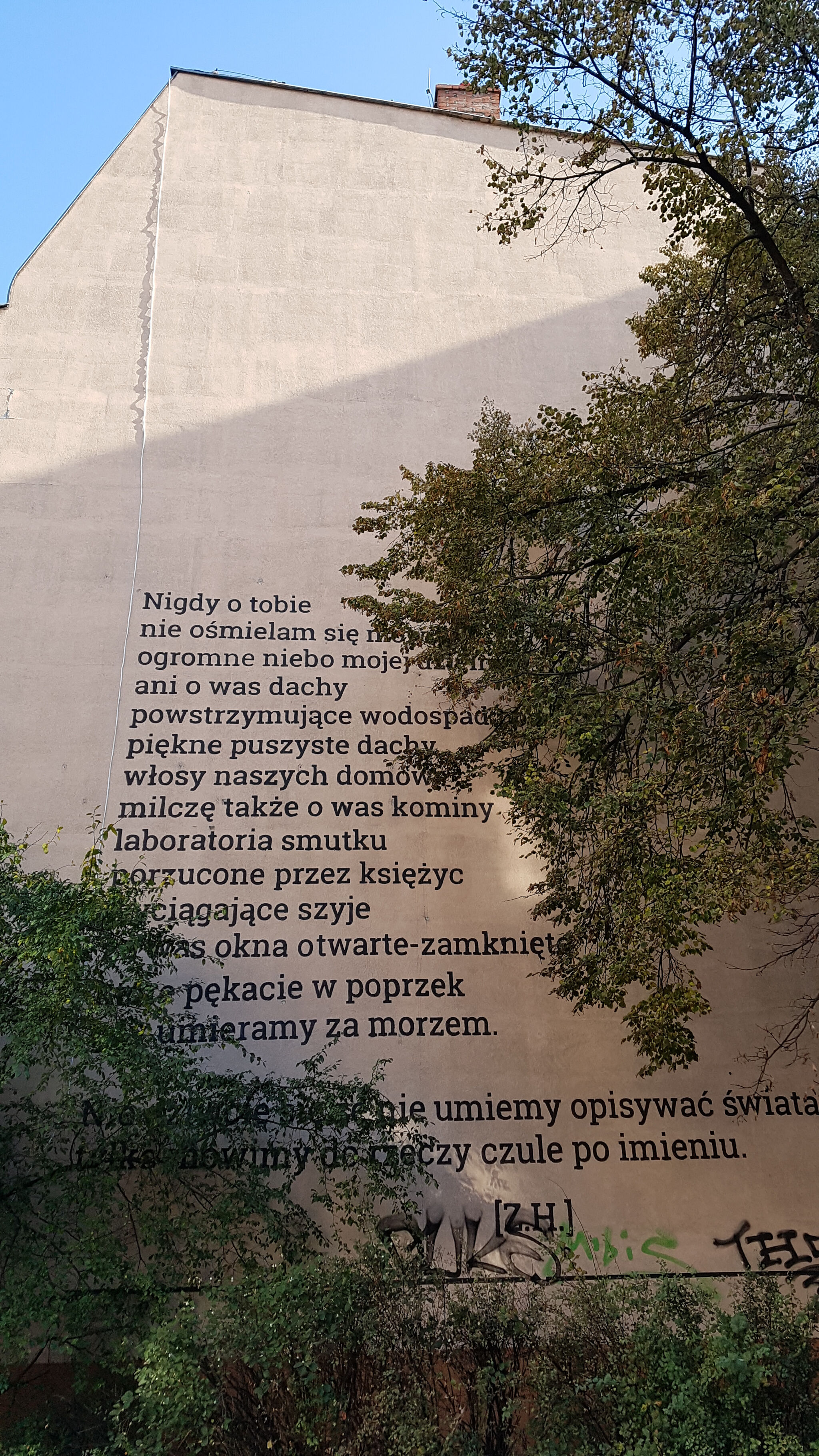 Tomasz Genow, Joanna Pańczak&mdash;Untitled