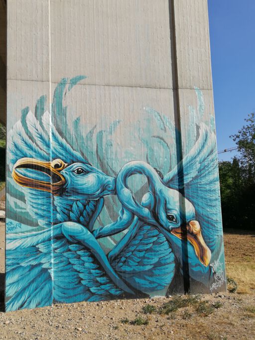 Blue Birds