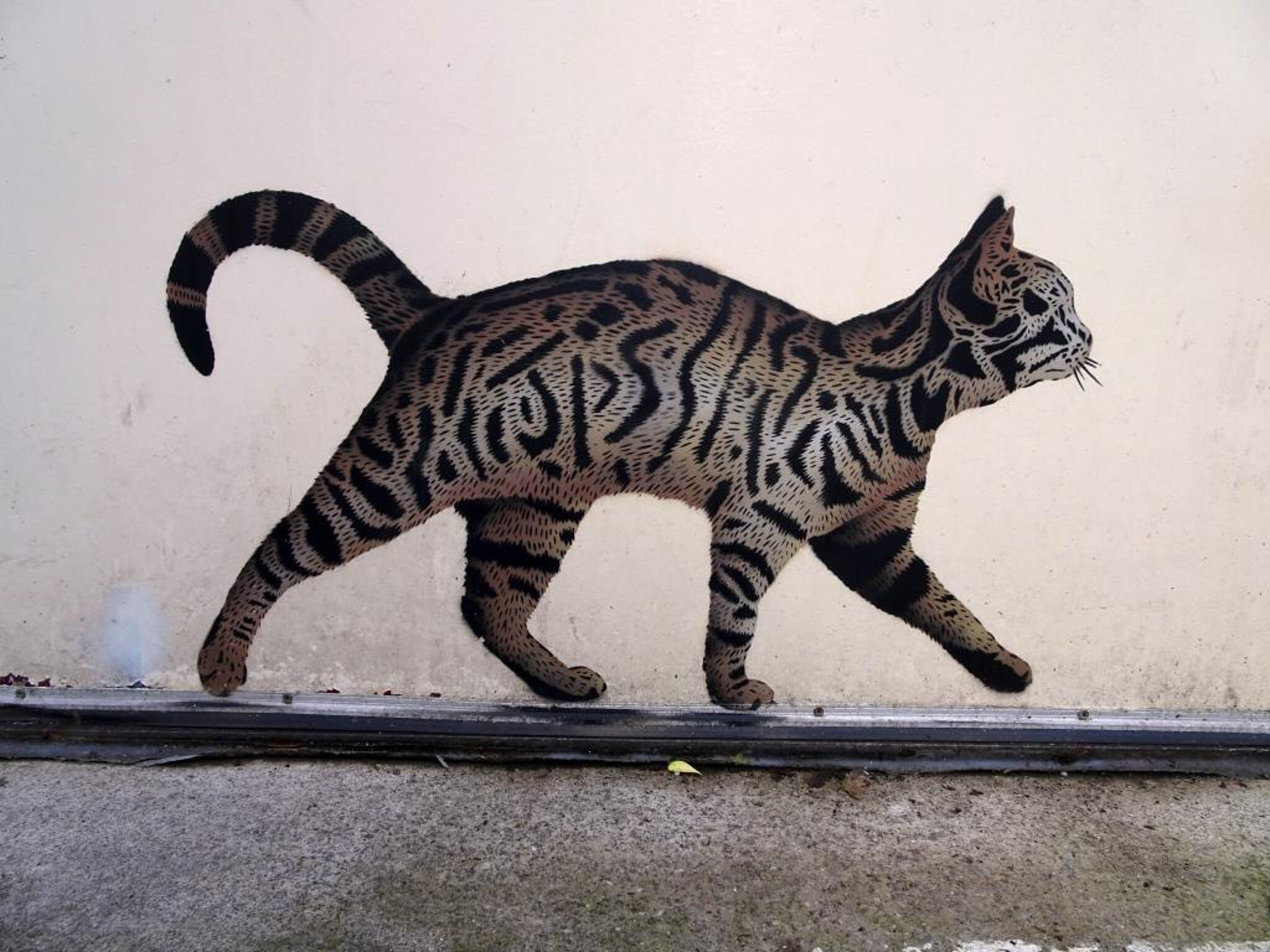 JPS&mdash;Cat