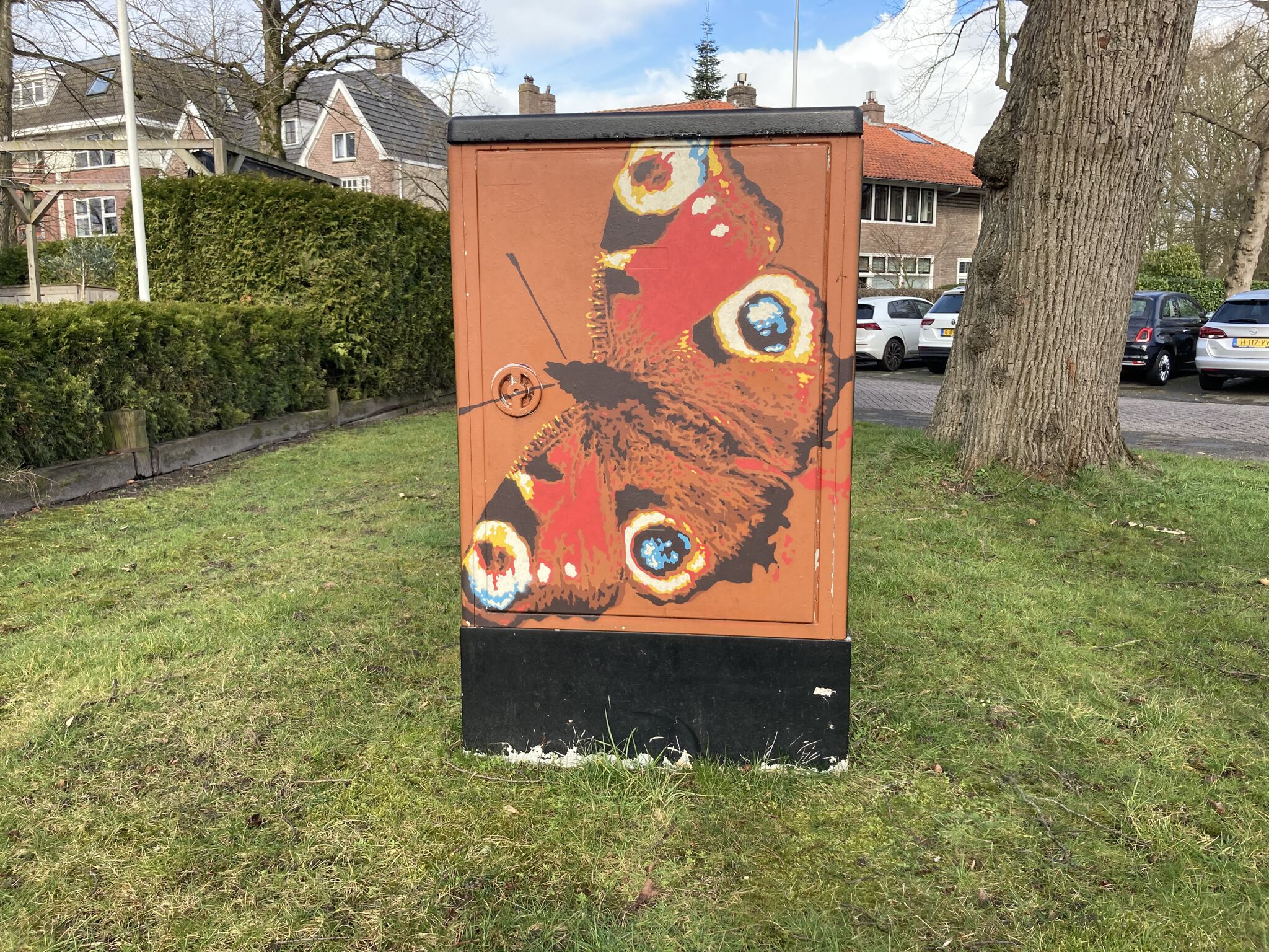 Roy Schreuder&mdash;Dagpauw vlinder