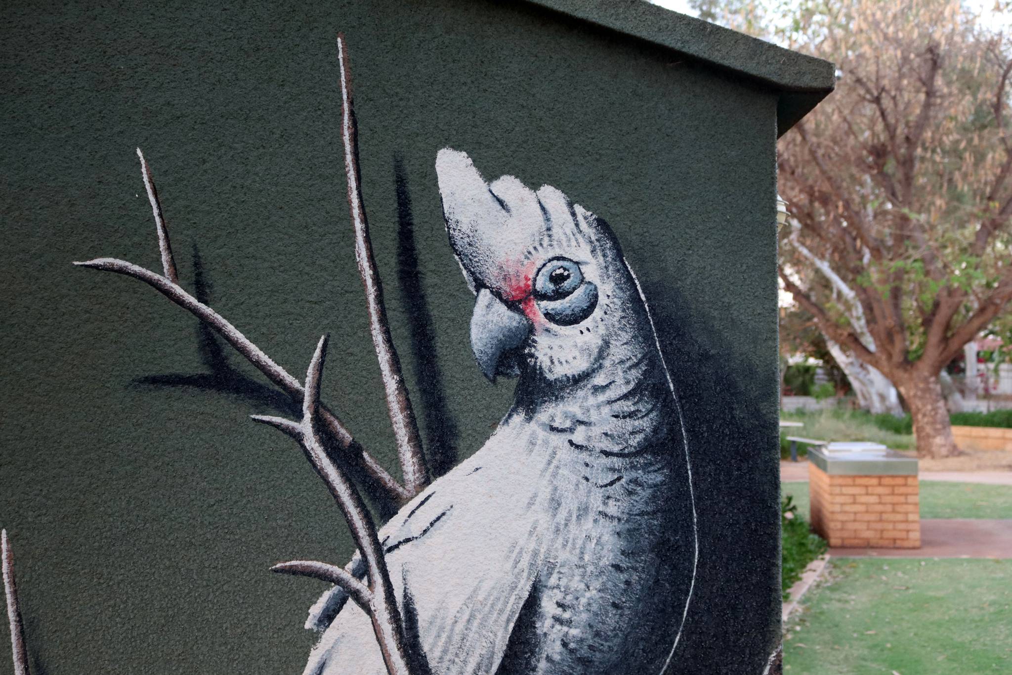 Brenton See&mdash;Little Corella