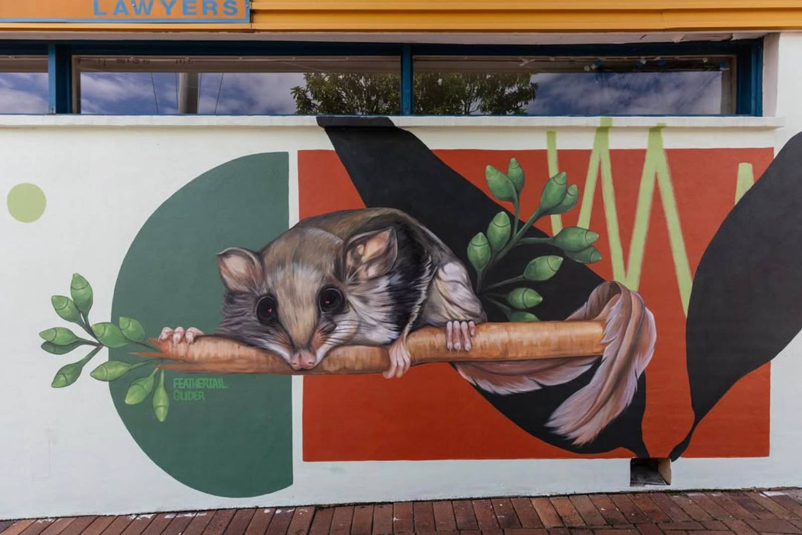 Ash Taylor&mdash;Beaudesert Gliders