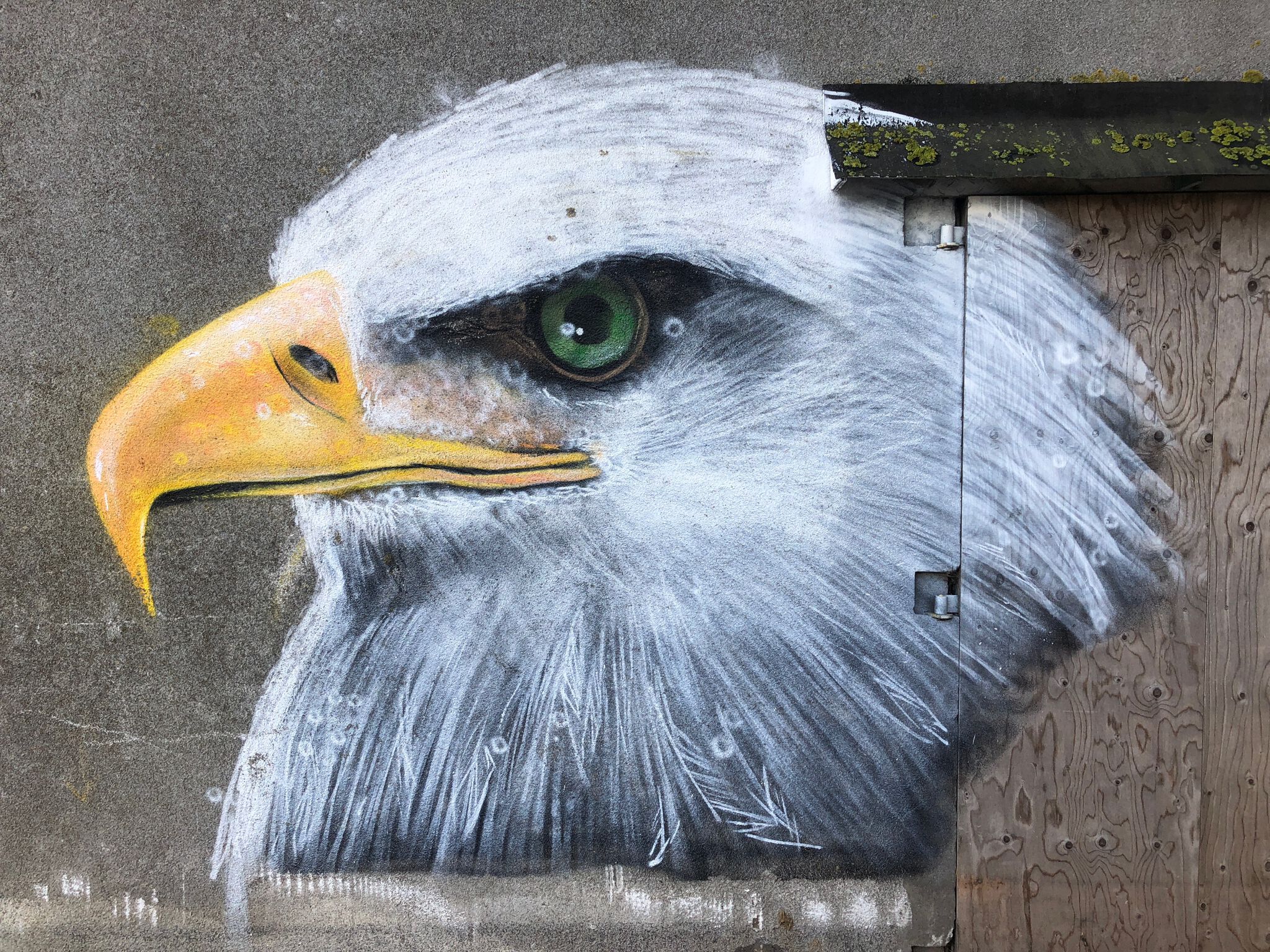 Kasper Jongejan&mdash;Arend/Eagle