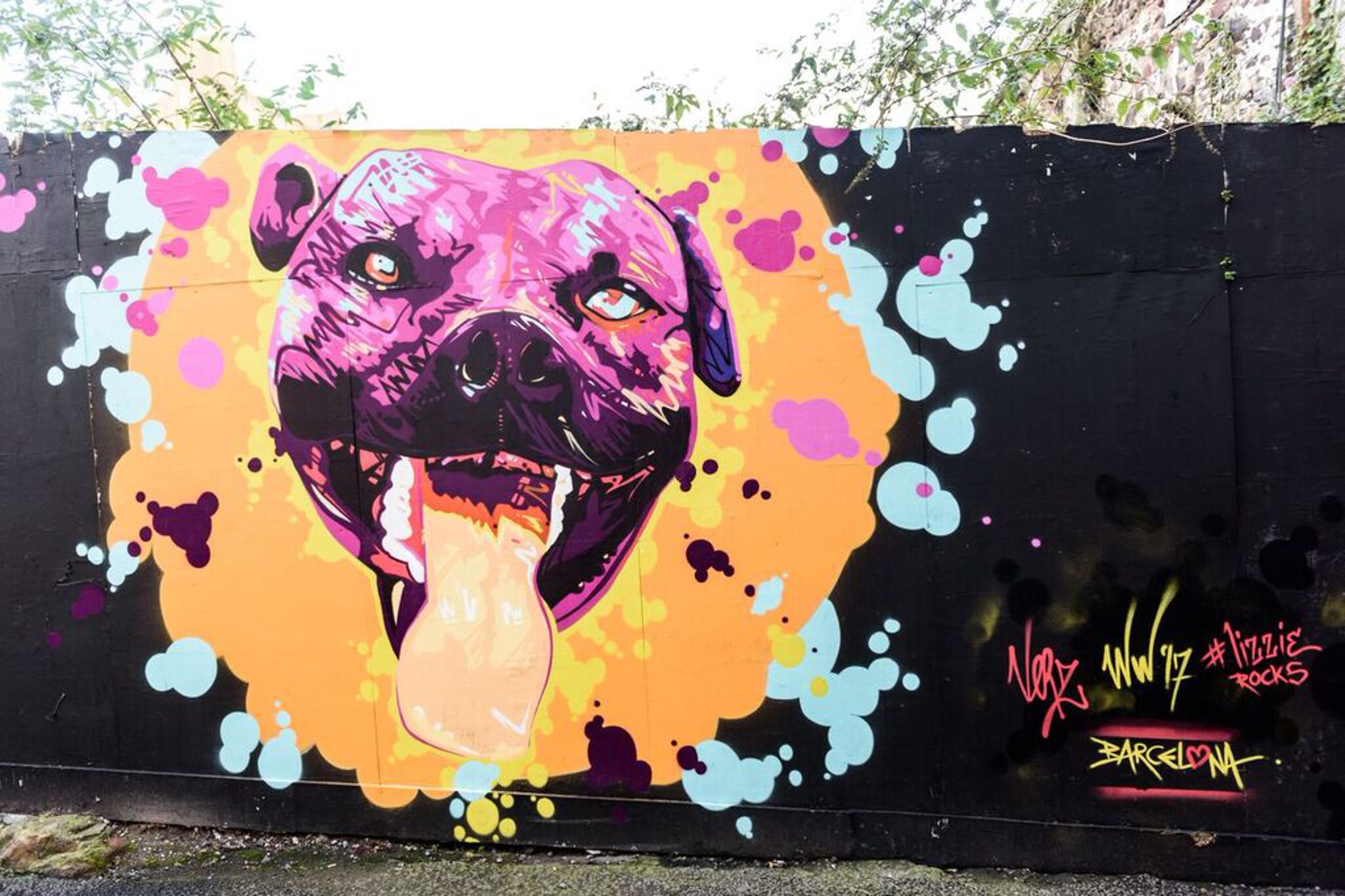Verz&mdash;Staffie