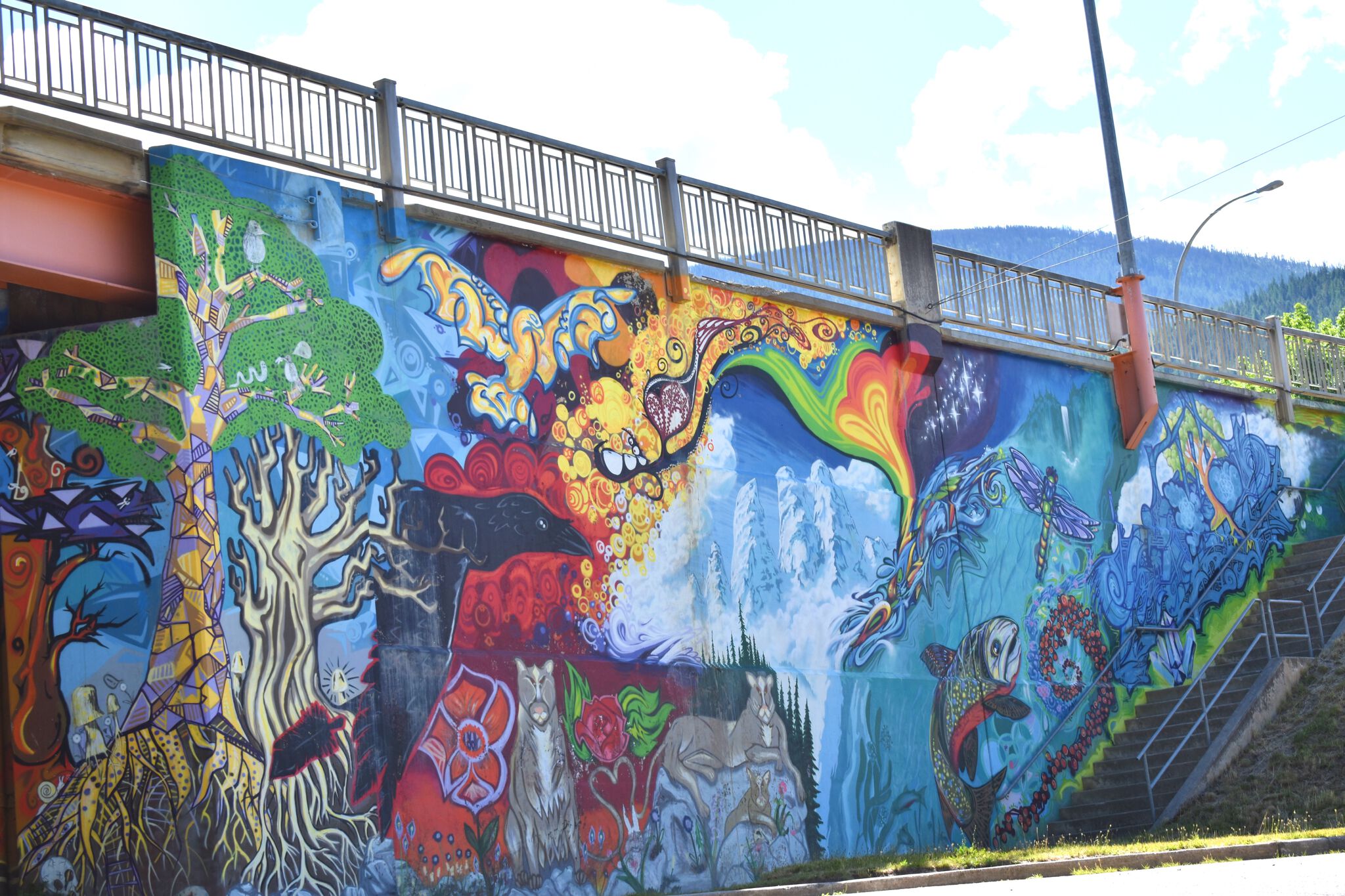 Coleman Webb, Adrian Thibault, Bryn Stevenson, Rhoneil Eurchuck, Sergio Santos, Amber Santos, Hannah De Boer, Matty Kakes, Alex Caulford, Olivia Mansveld, Danan Lake, Dagan Cairn, Anais Ferrier, Brandon Brown, Ezra Slade, Raven Truth&mdash;Colours of Nelson