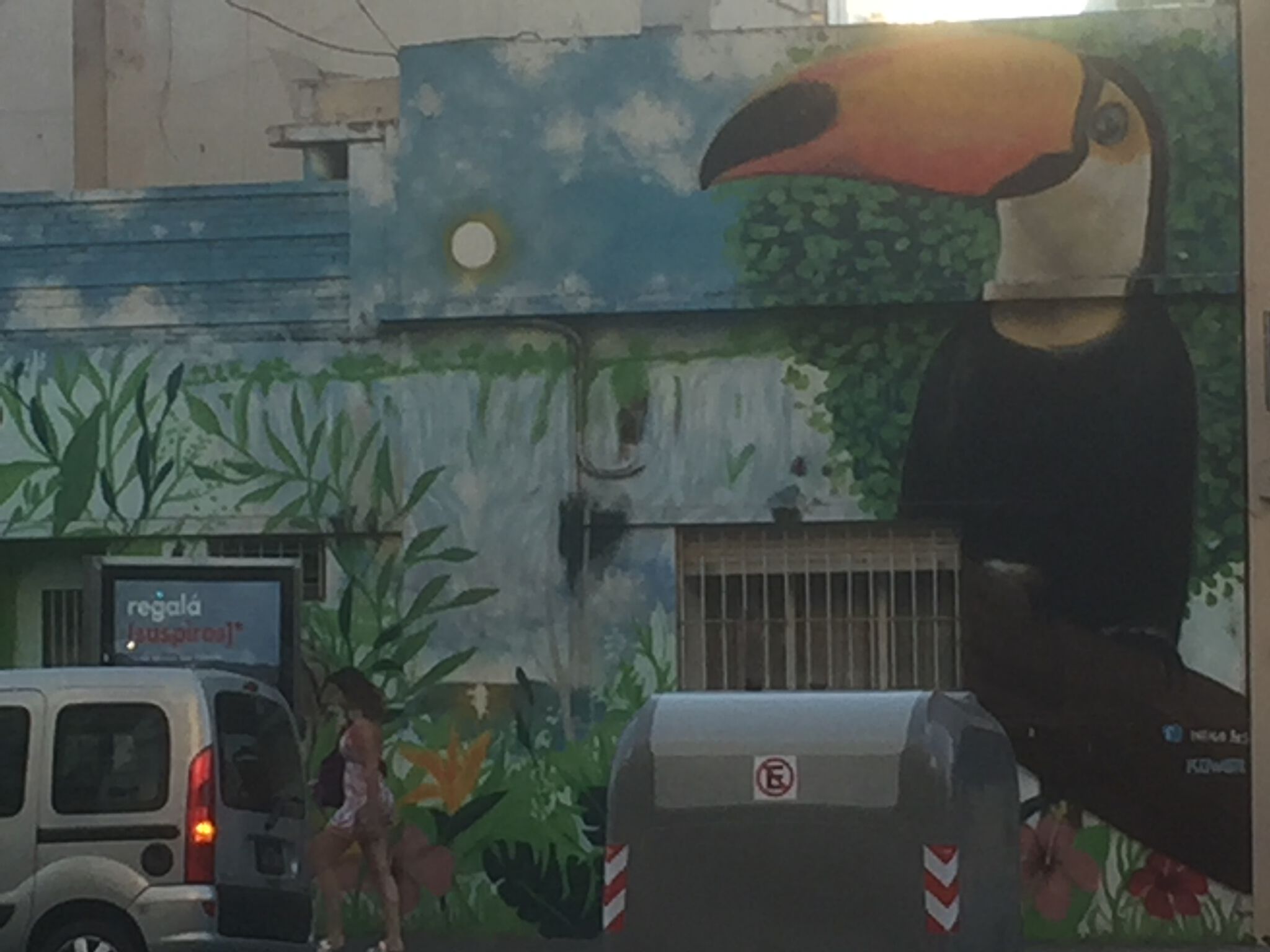 Unknown - Buenos Aires&mdash;Toucan