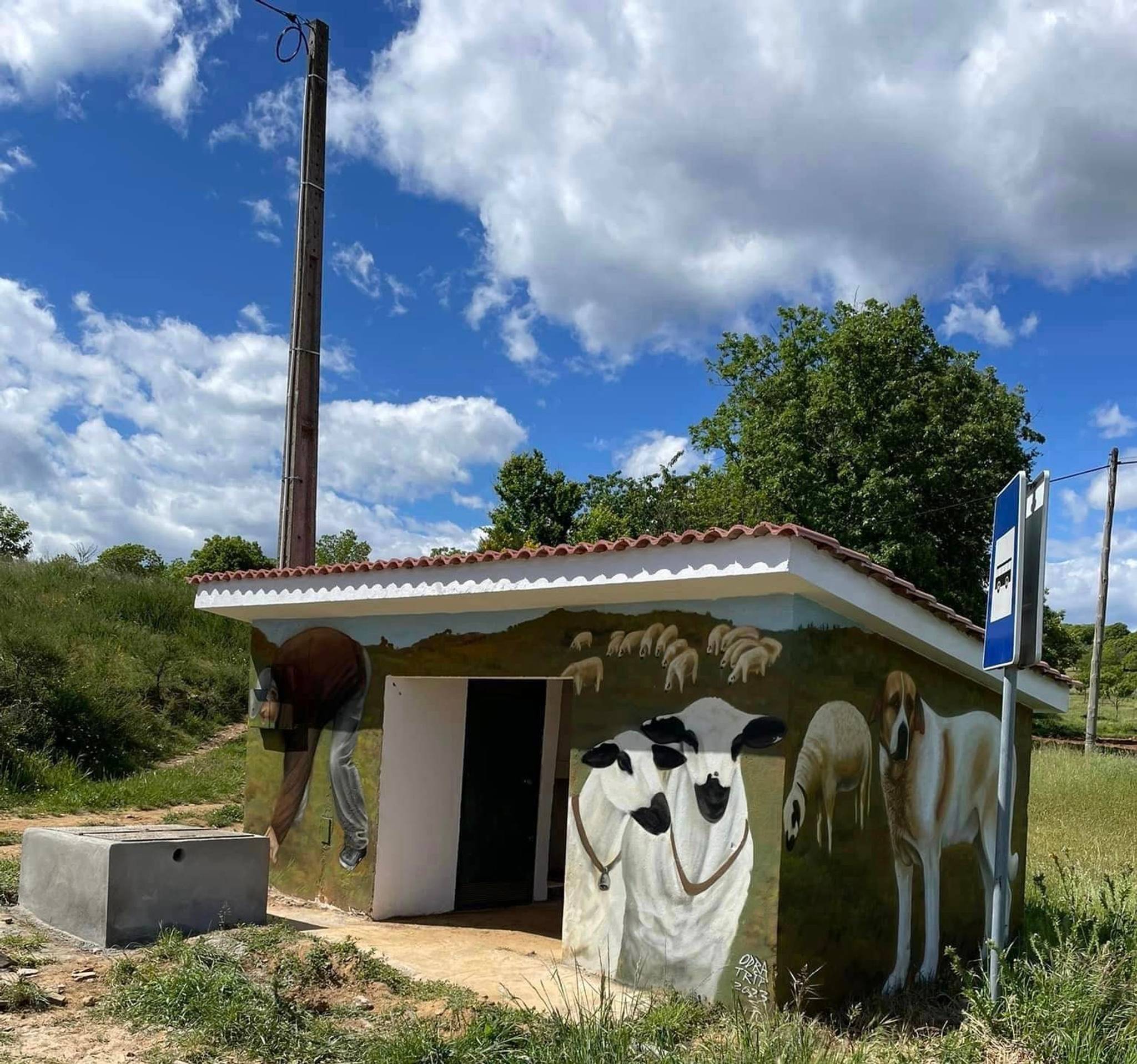 TripDTOS&mdash;Fontes de Transbaceiro