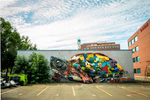 The turtle