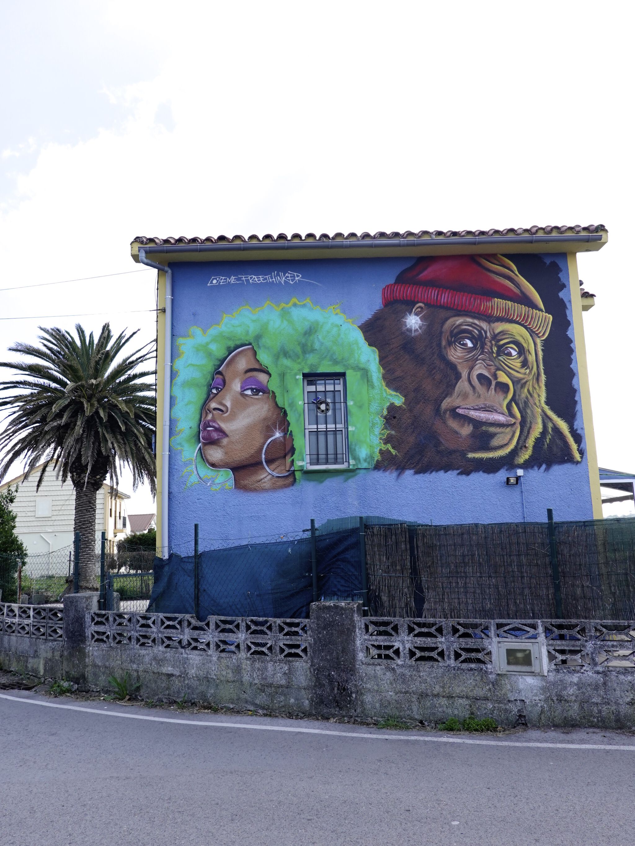 Eme Freethinker&mdash;Chica y gorila