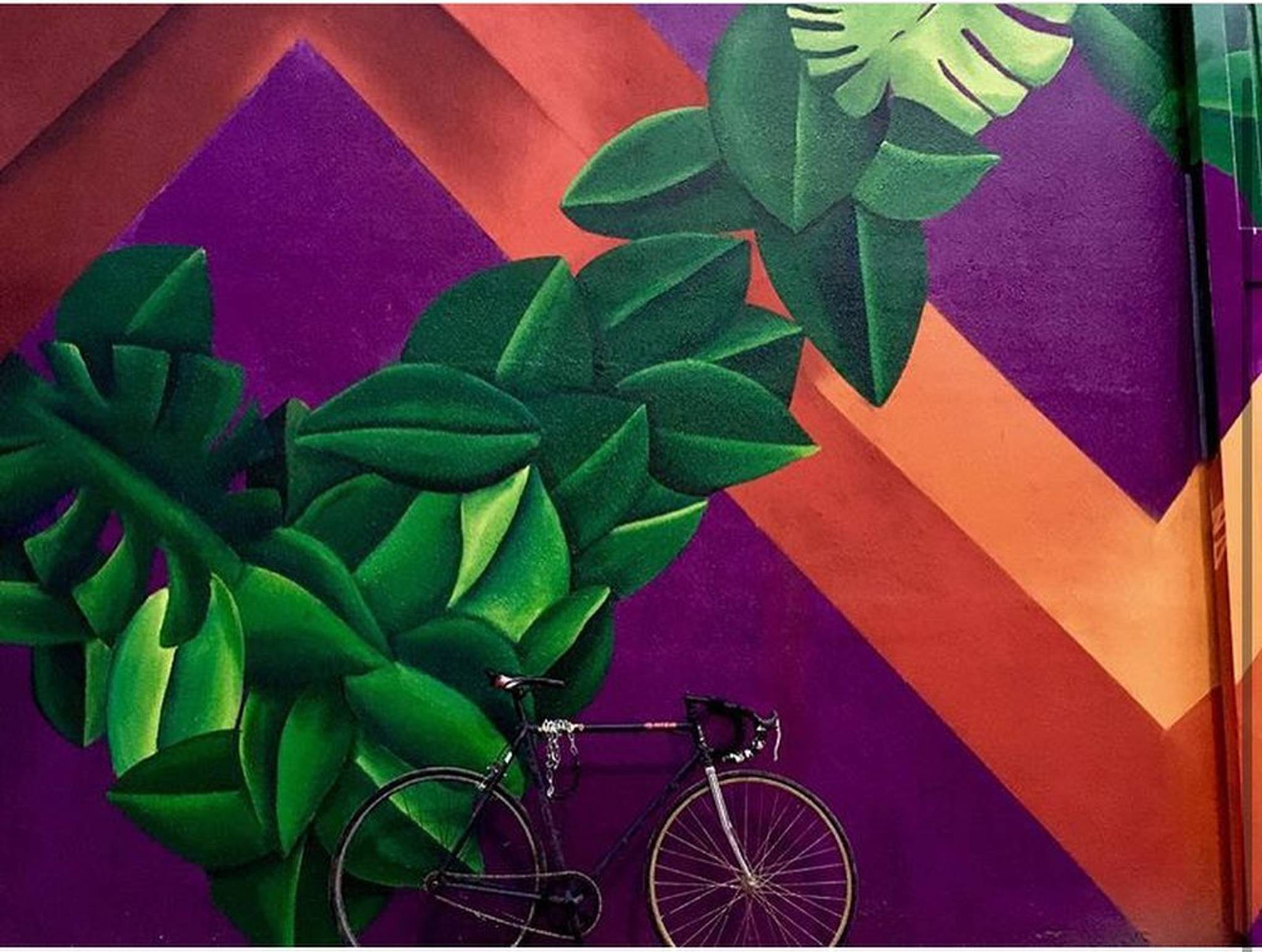innato, polara&mdash;Purple jungle