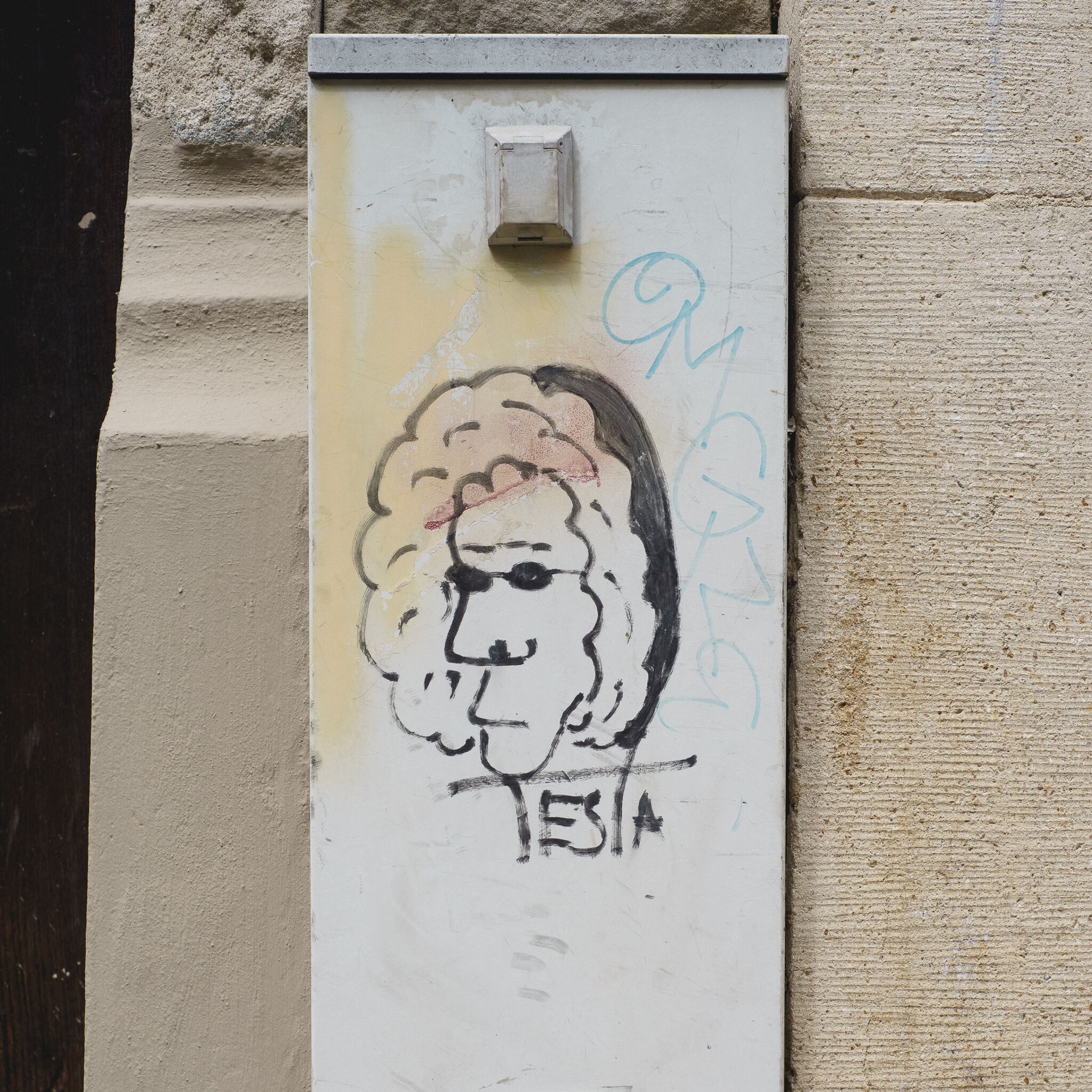 Testa&mdash;Untitled