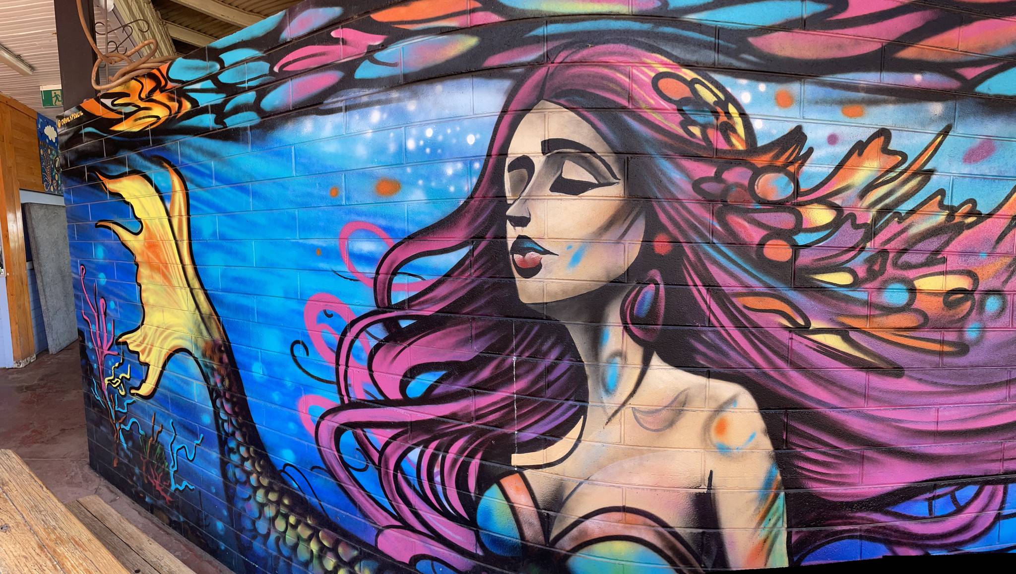 Dean de Villiers&mdash;Dampier Mermaid