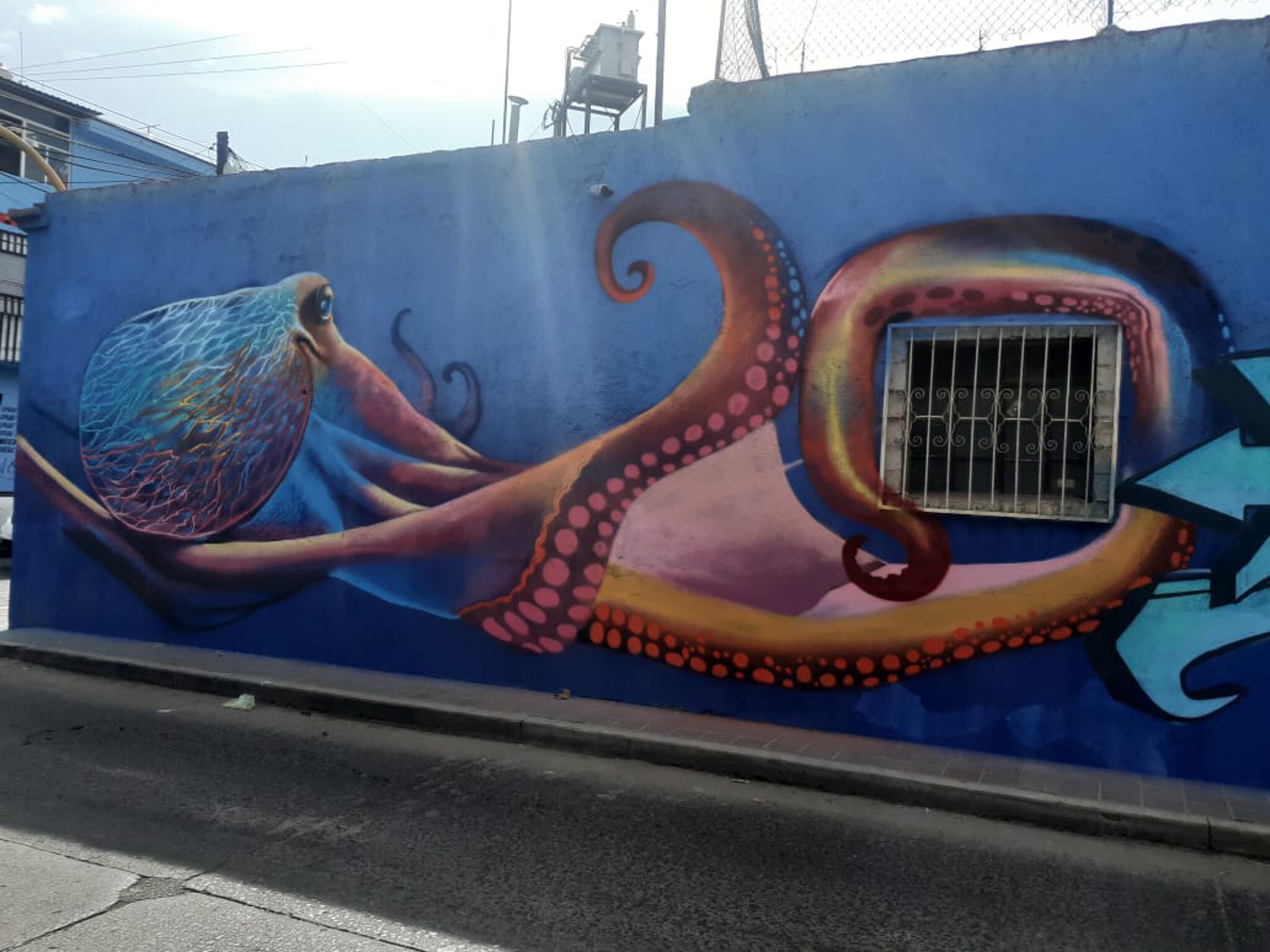 Jhard, Crook, Moy, Moustruo, Push, Ante, Brote, Asme&mdash;Sea Life